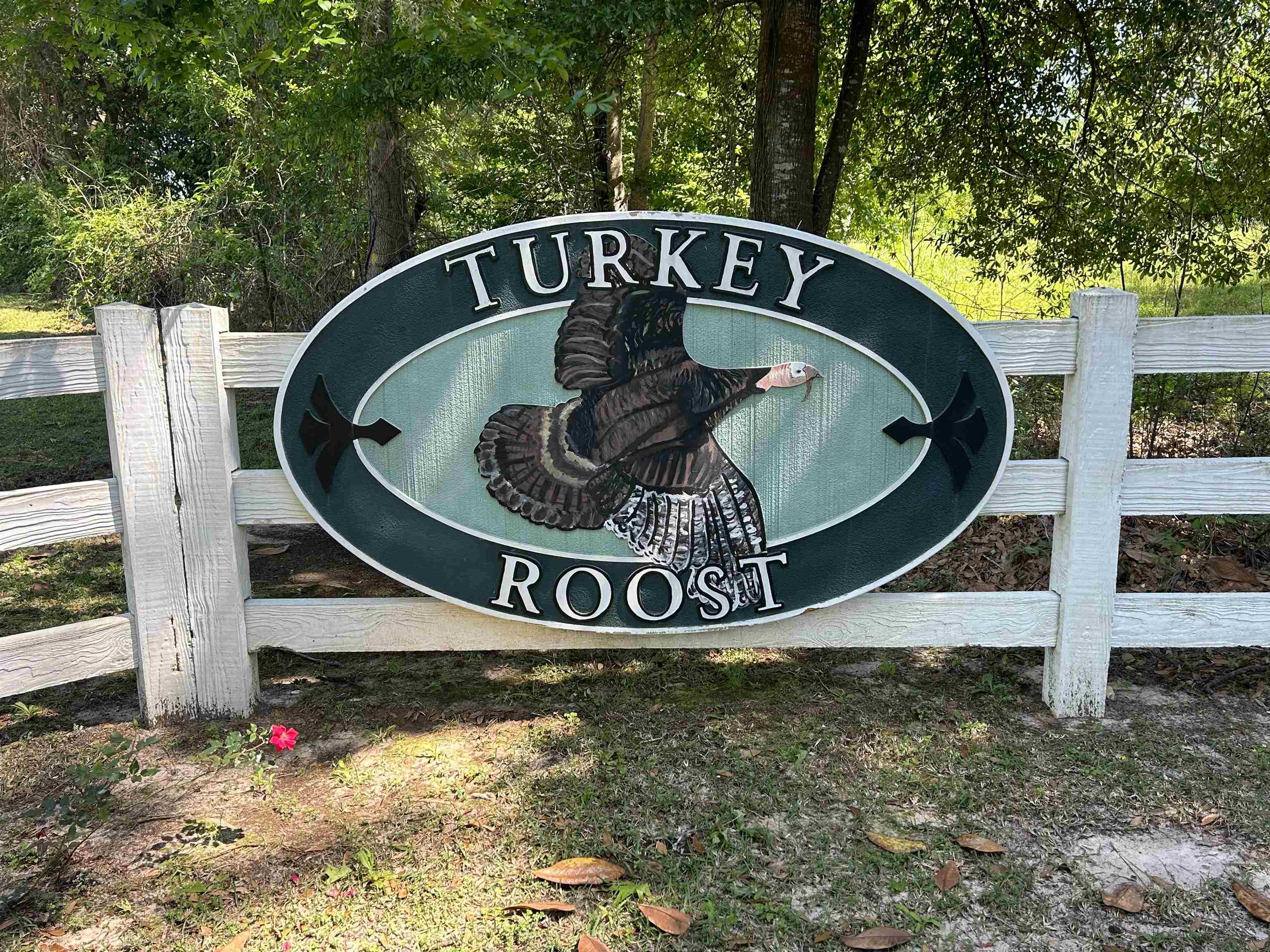 Turkey Roost Road, Tallahassee, Florida image 1