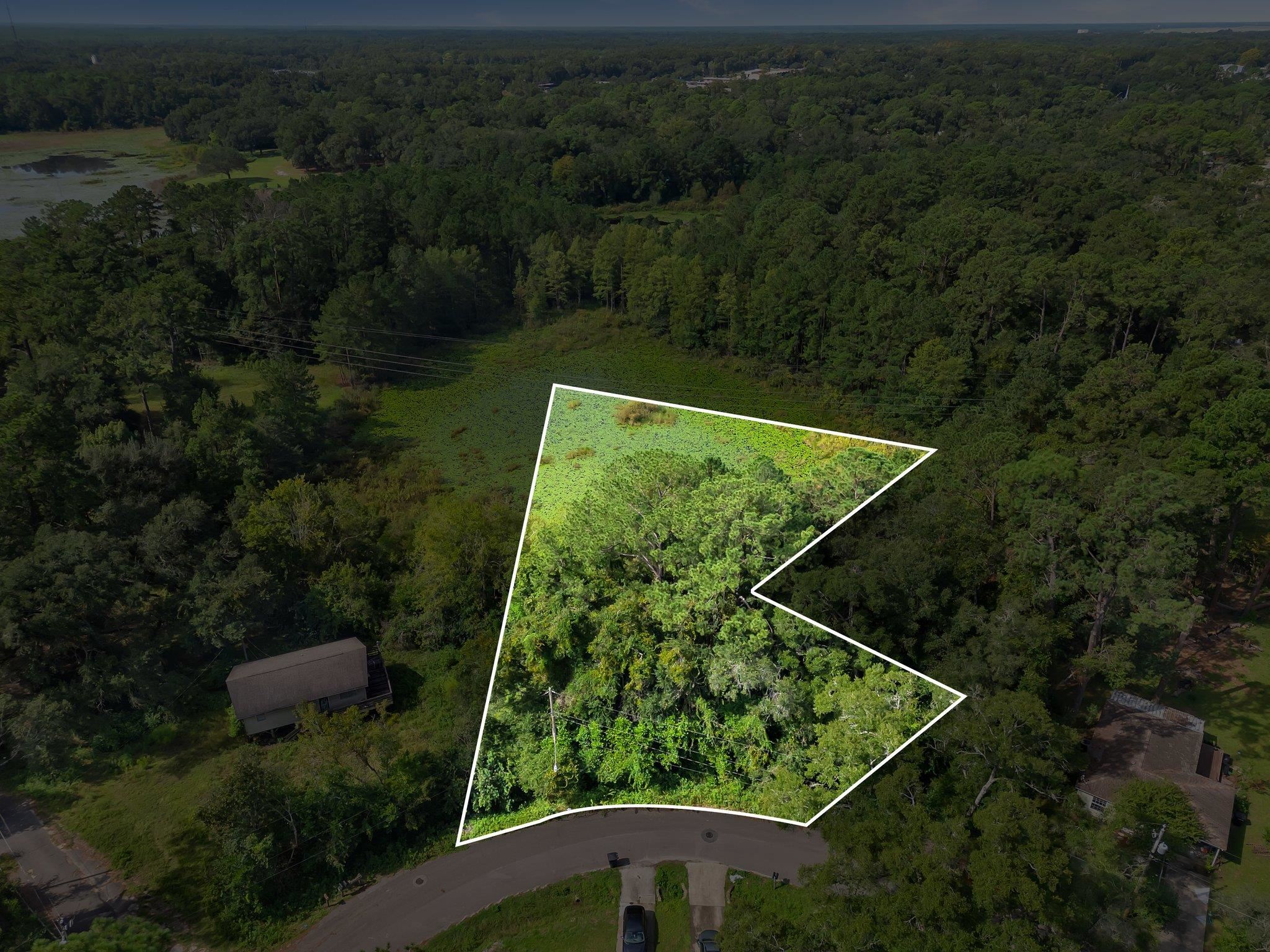 Lillian Road, Tallahassee, Florida image 1