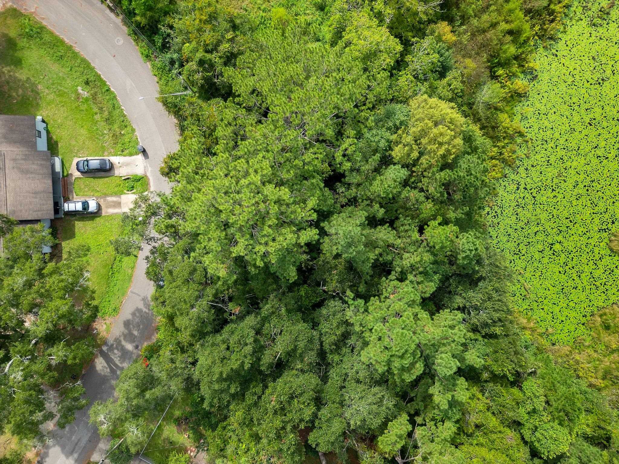 Lillian Road, Tallahassee, Florida image 3