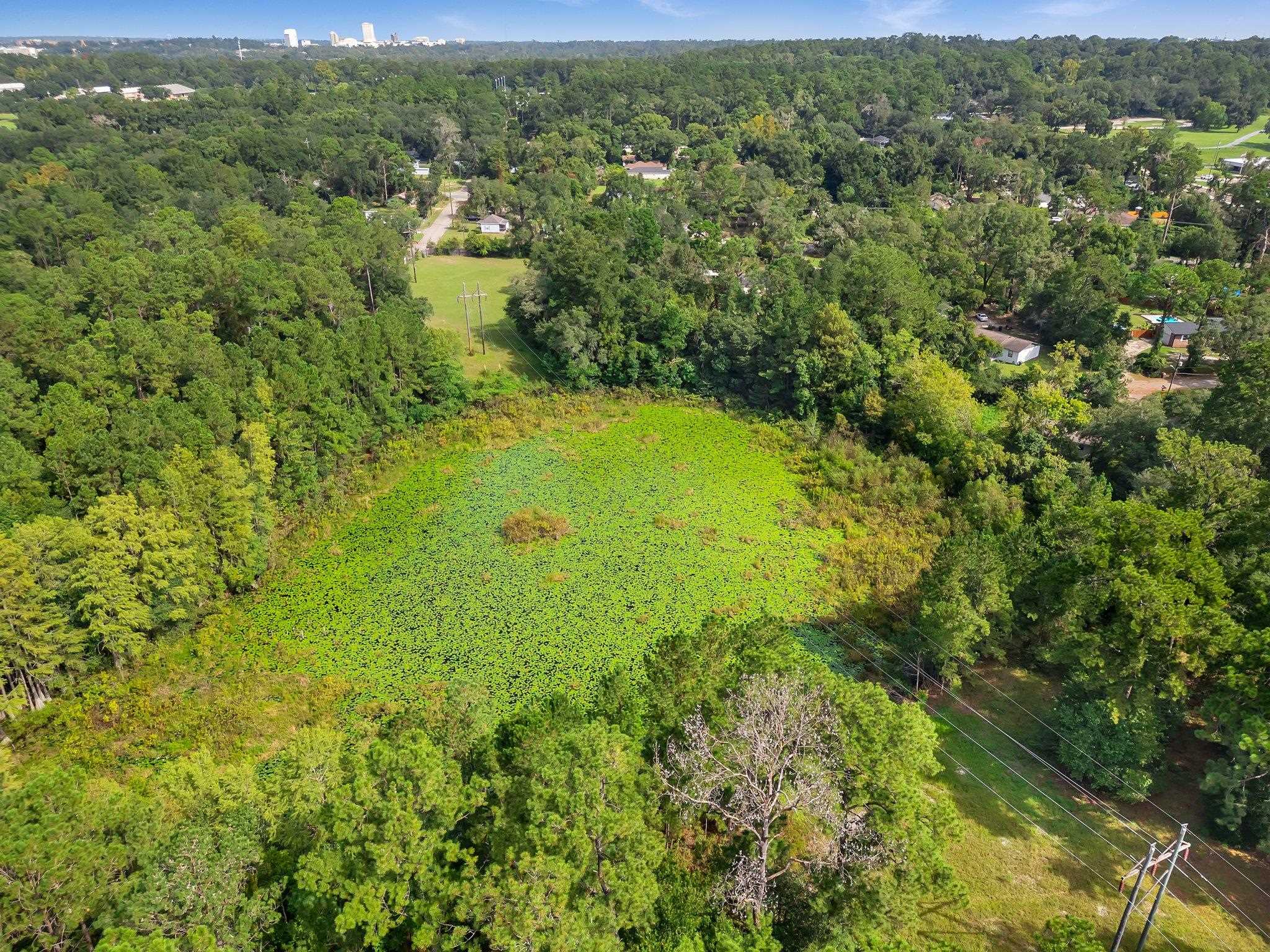 Lillian Road, Tallahassee, Florida image 6