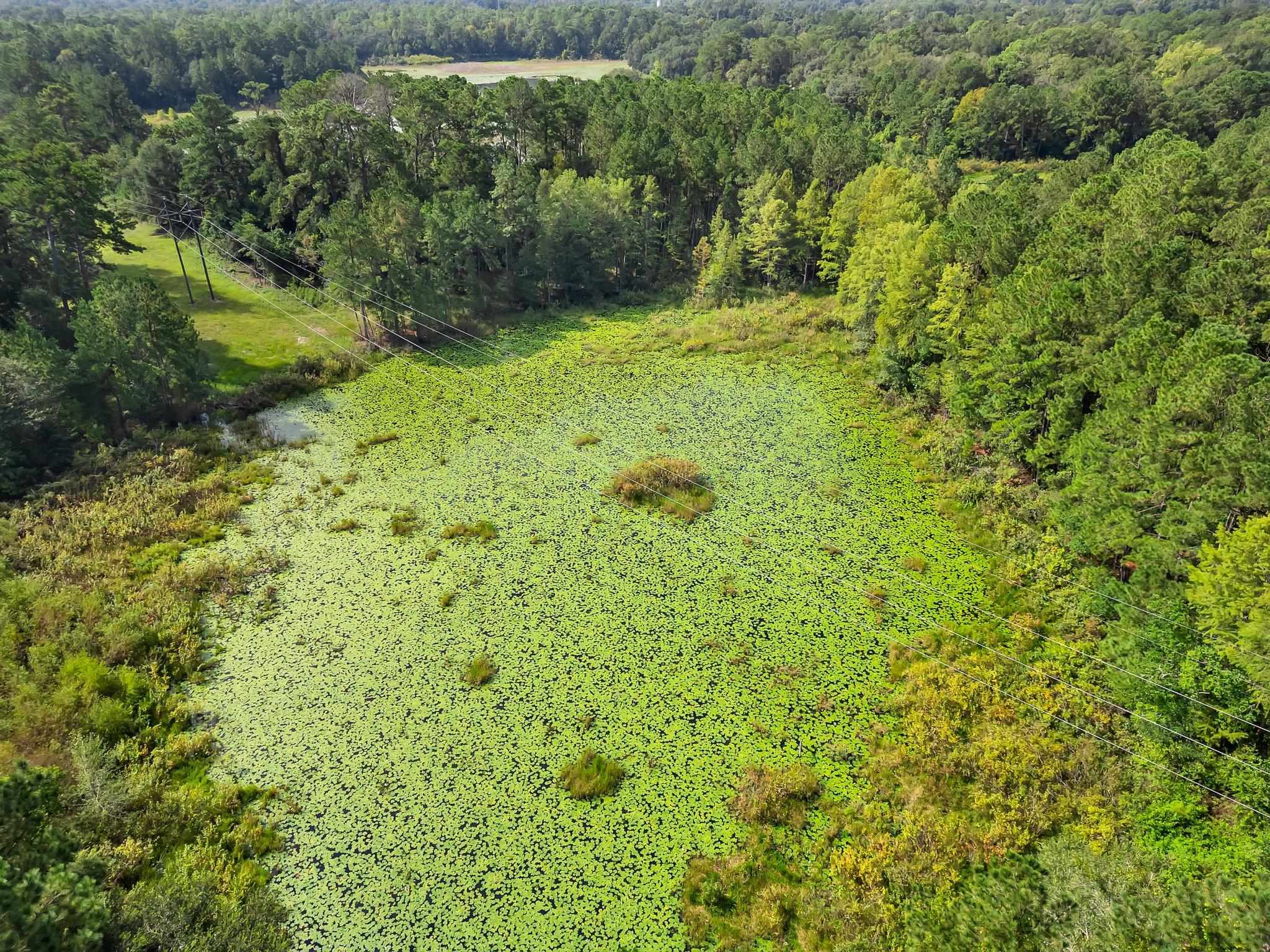 Lillian Road, Tallahassee, Florida image 9