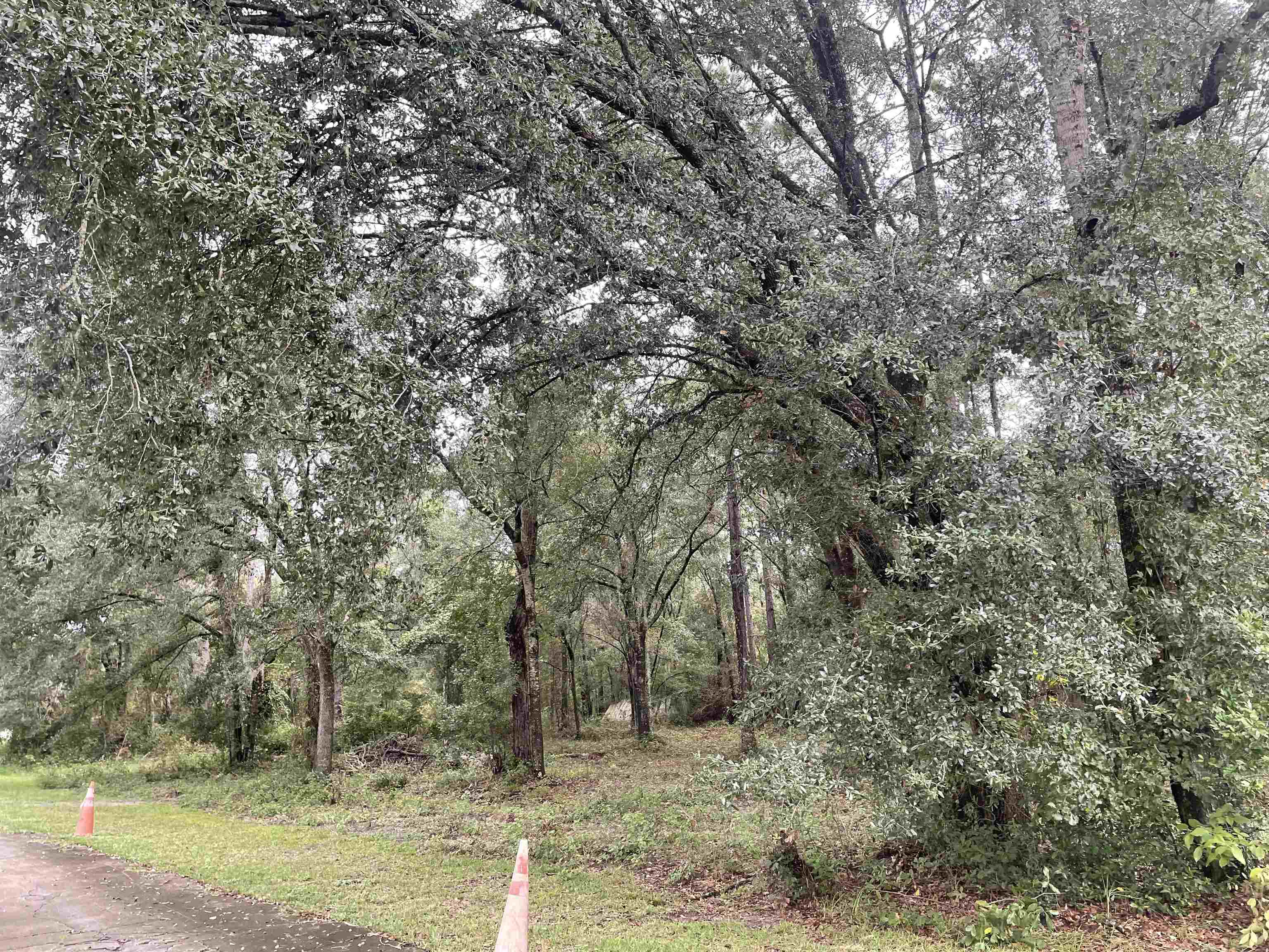Purnell Court, Tallahassee, Florida image 1