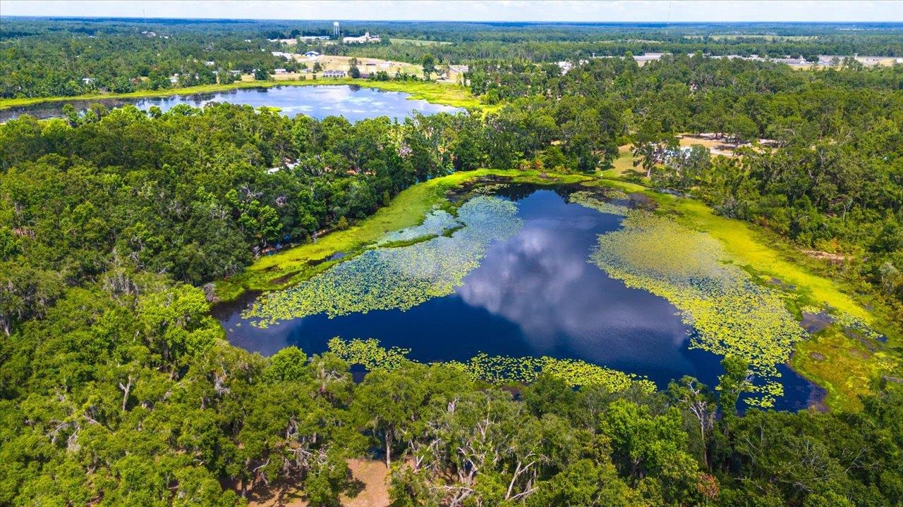 Summerset Southwest Way, MADISON, Florida image 9