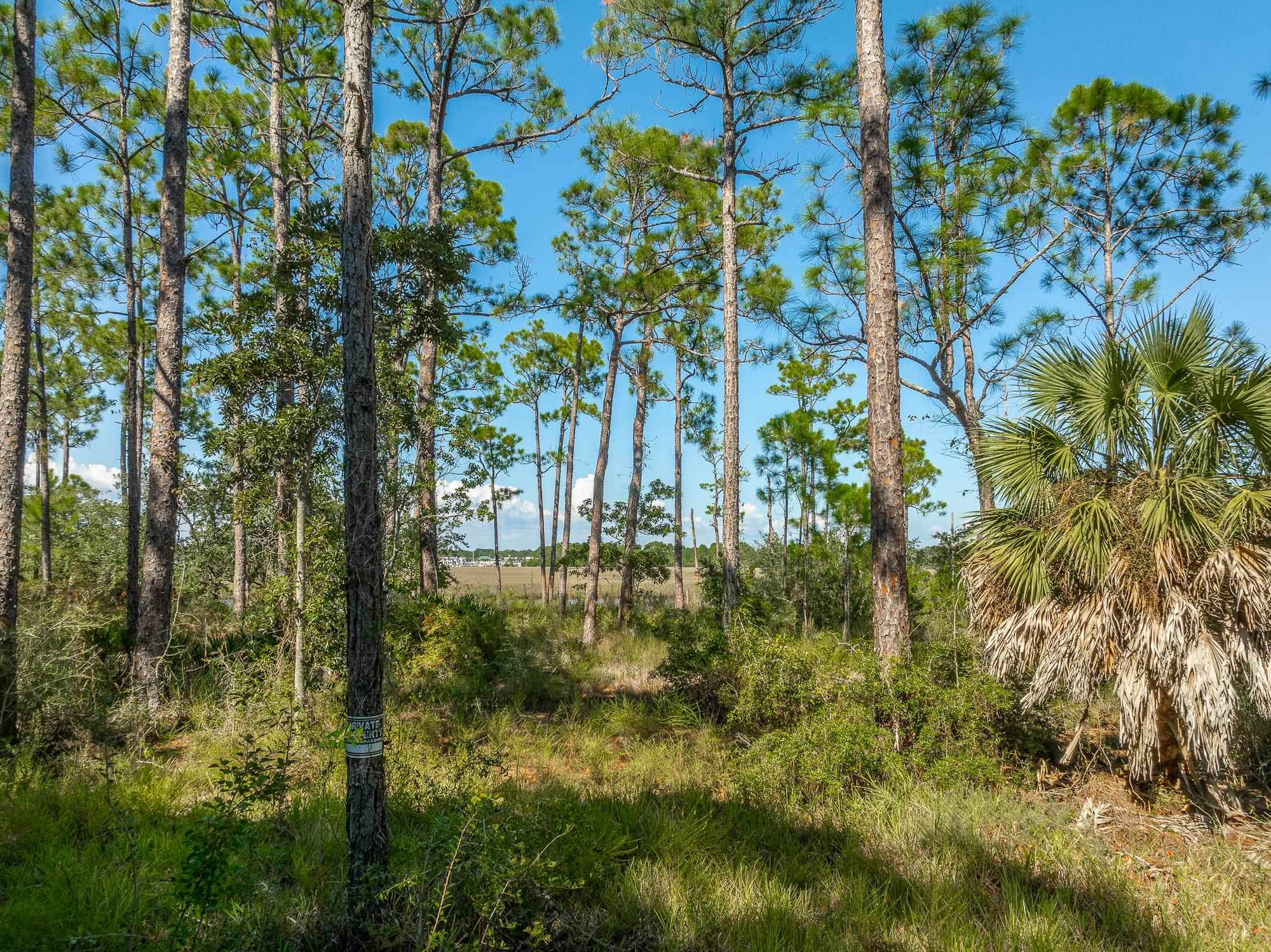 141 Timber Island Road, CARRABELLE, Florida image 17