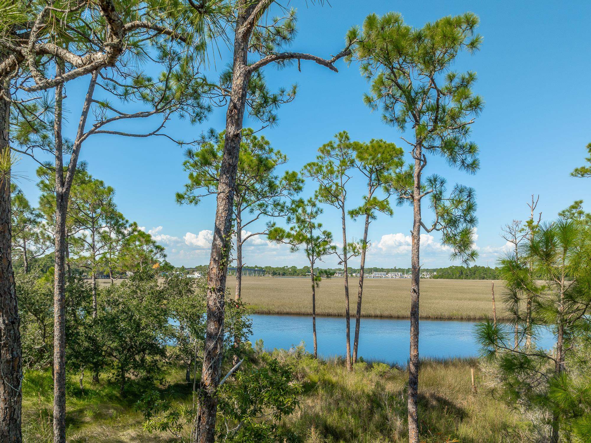 141 Timber Island Road, Carrabelle, Florida image 2