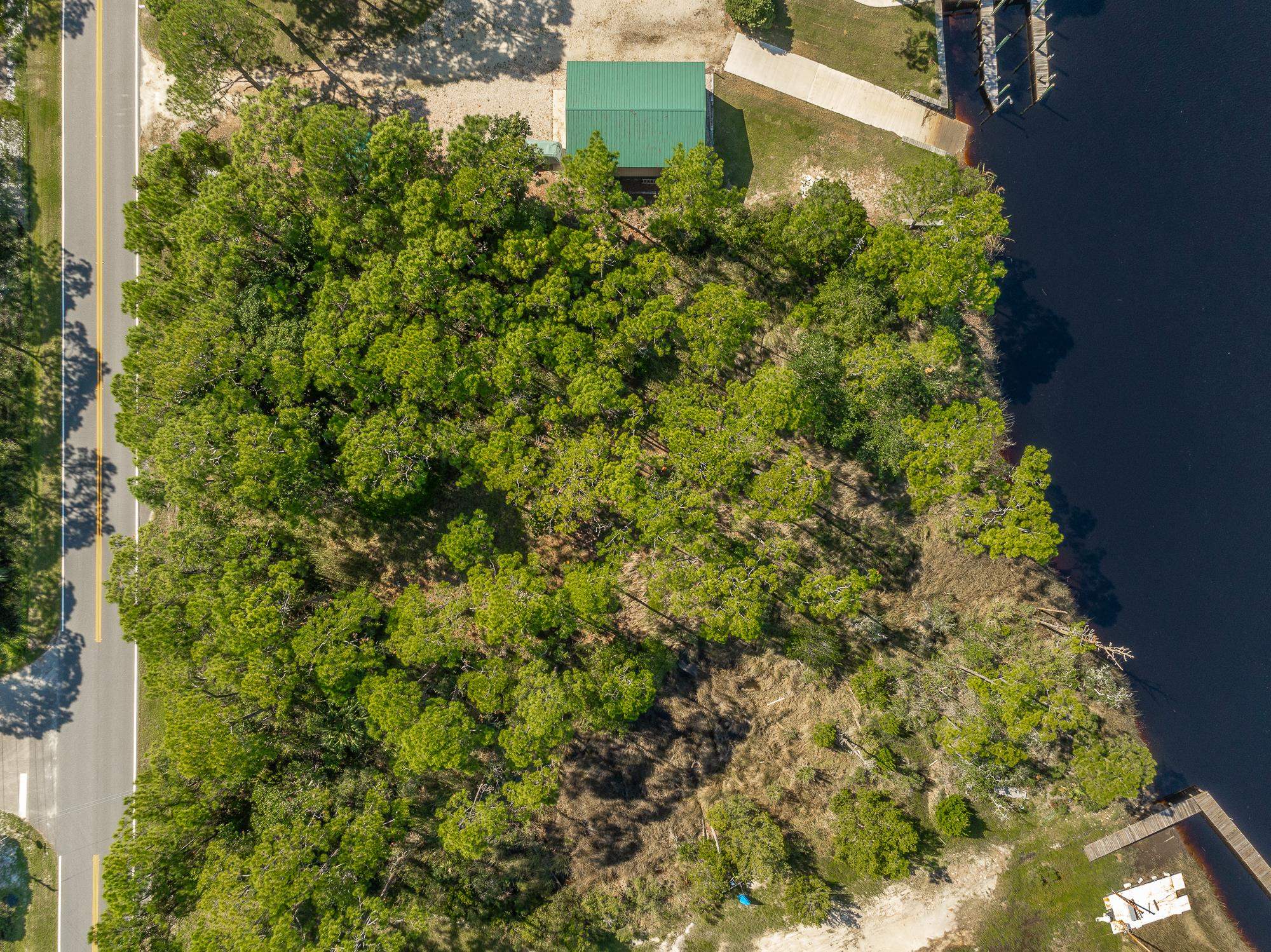 141 Timber Island Road, CARRABELLE, Florida image 4