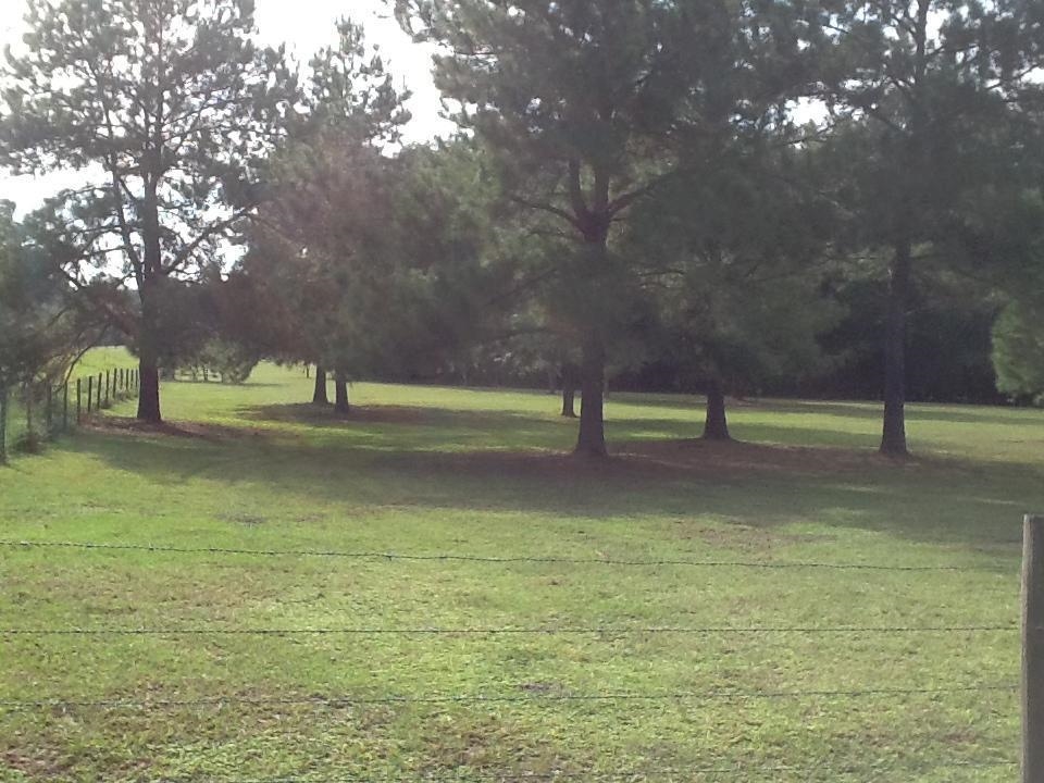 NE Dusty Miller Avenue, Madison, Florida image 3