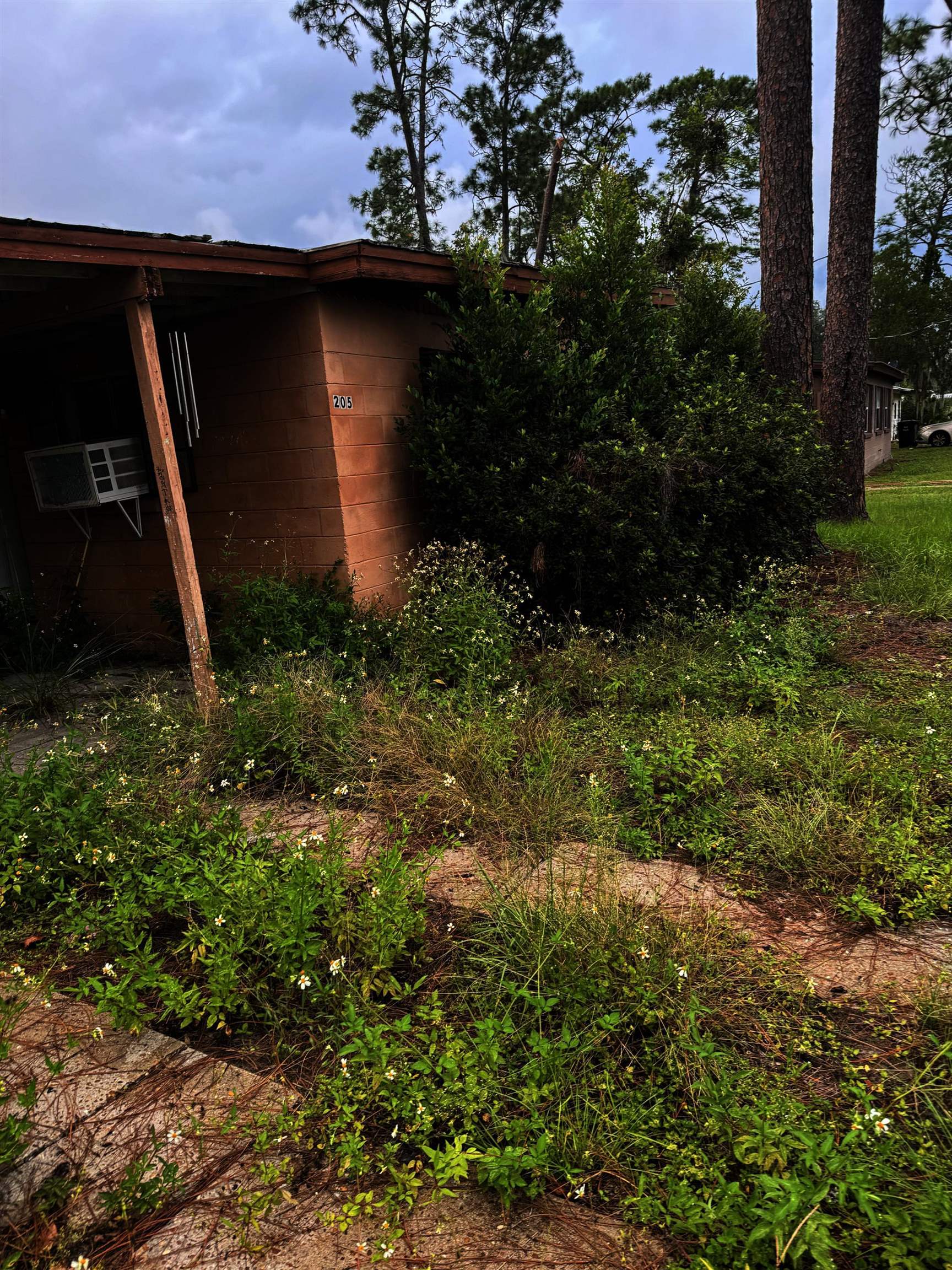 205 Susan Street, PERRY, Florida image 4