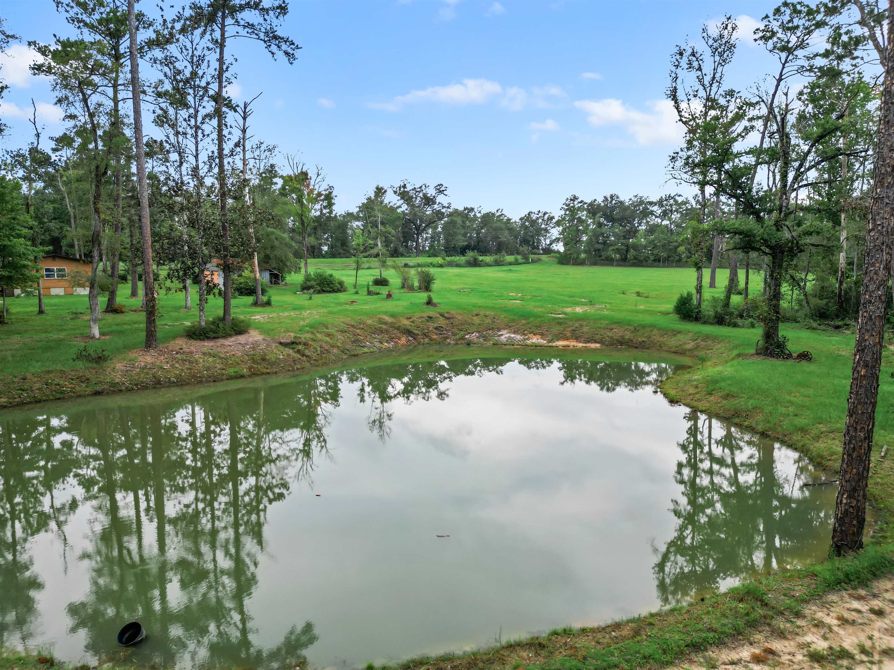 13272 NW State Road 20, Bristol, Florida image 1