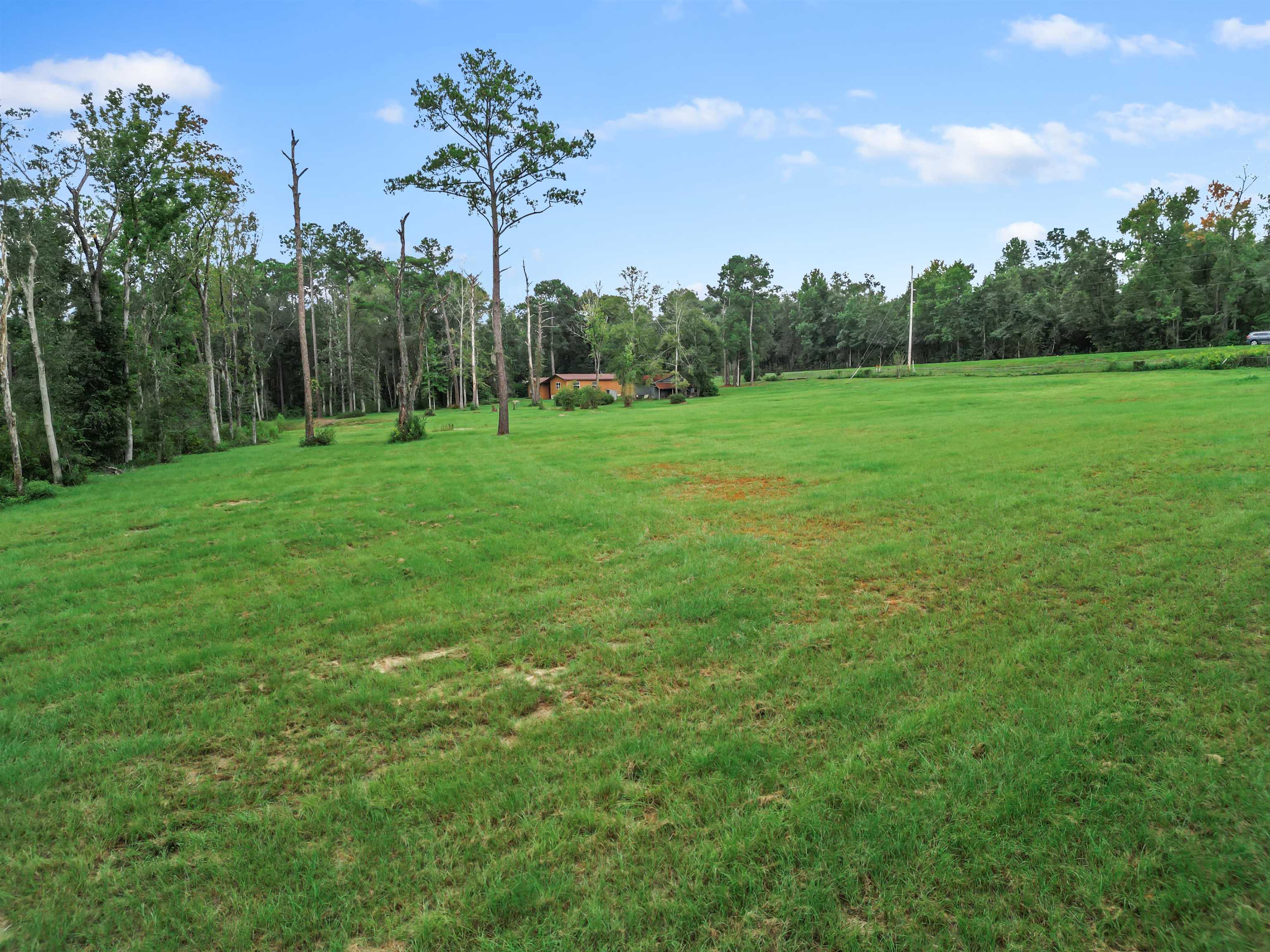 13272 NW State Road 20, Bristol, Florida image 12