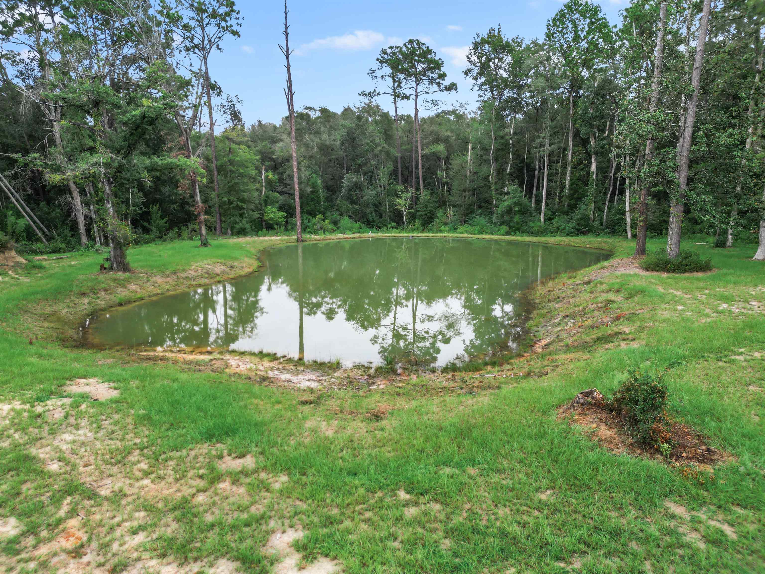 13272 NW State Road 20, Bristol, Florida image 33