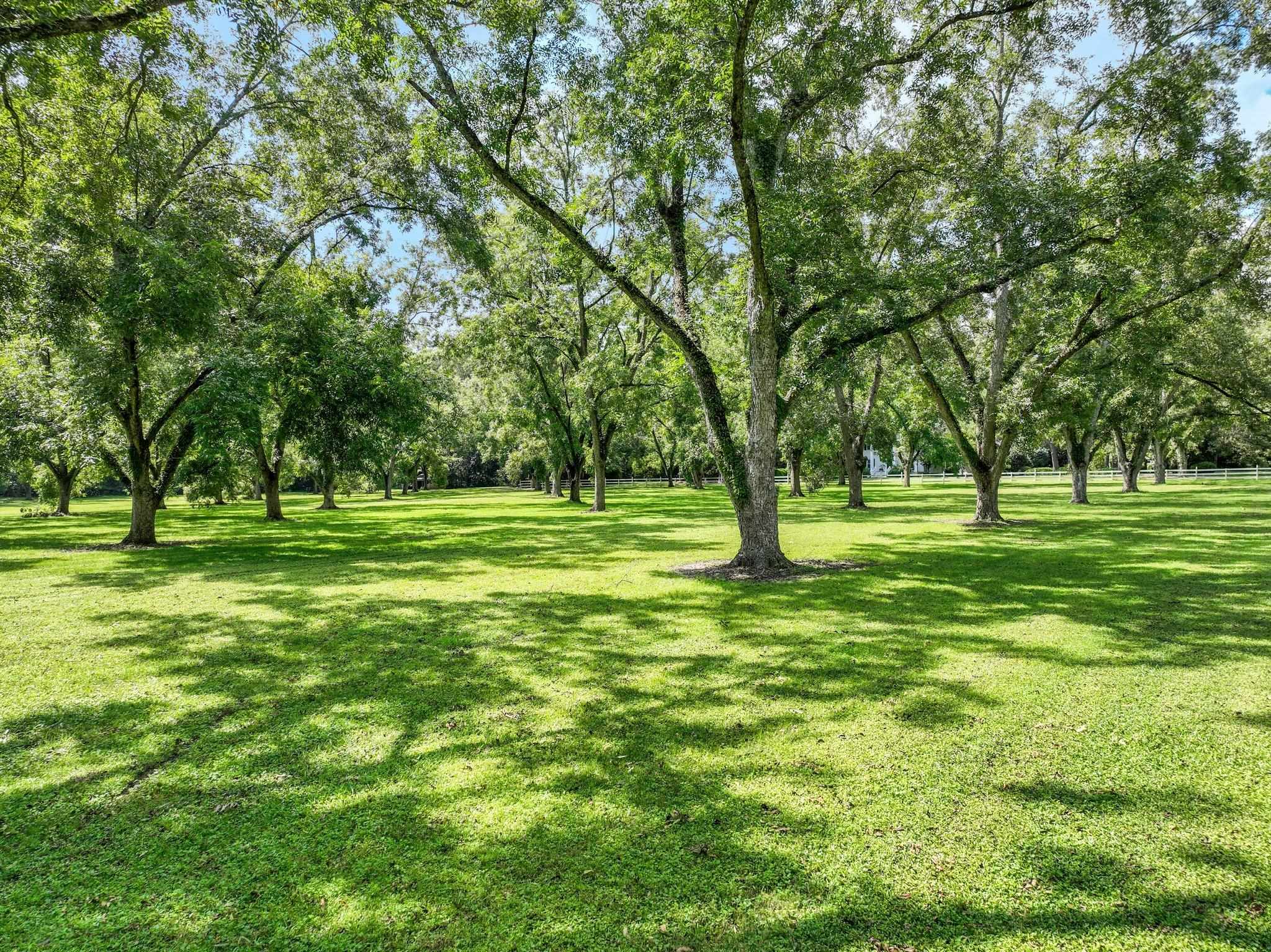 1244 Salem Road, Havana, Florida image 33