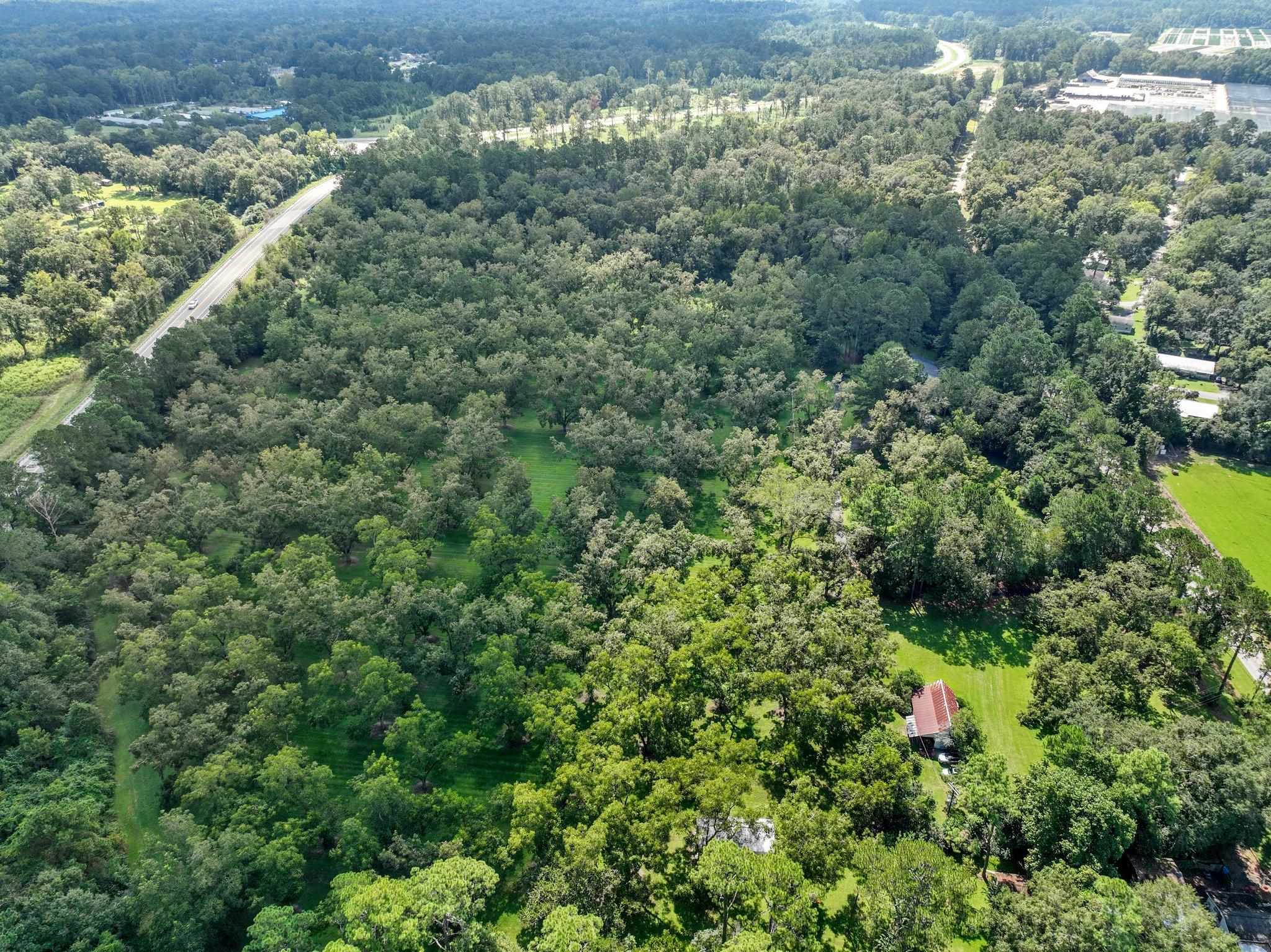 1244 Salem Road, Havana, Florida image 40