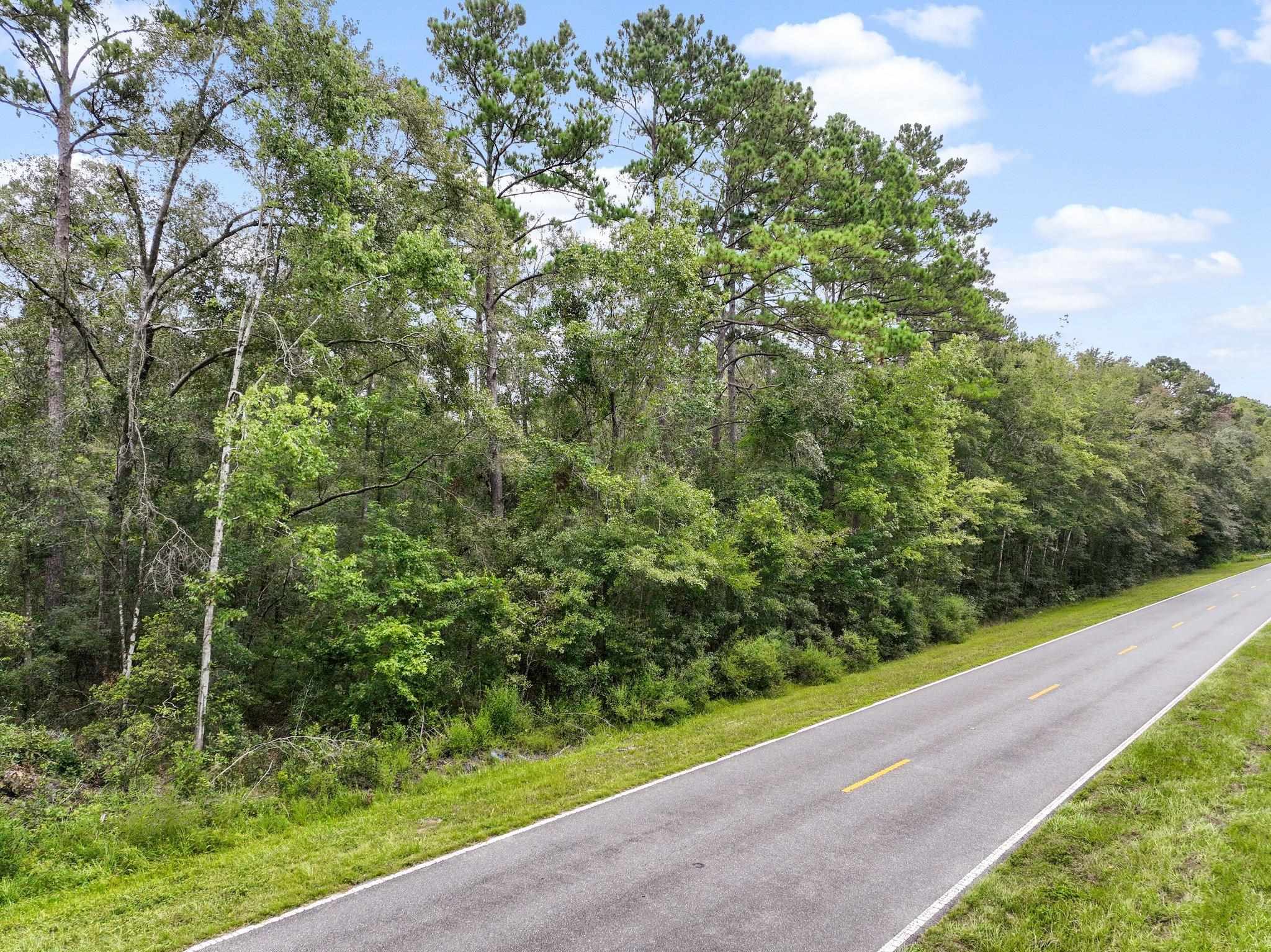 Tram Road, MONTICELLO, Florida image 3