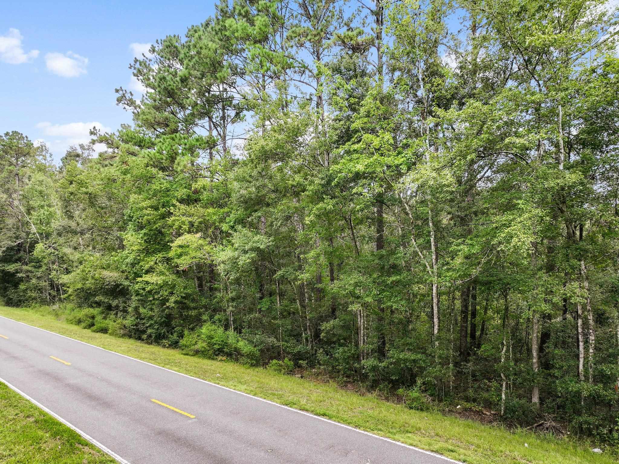 Tram Road, MONTICELLO, Florida image 4