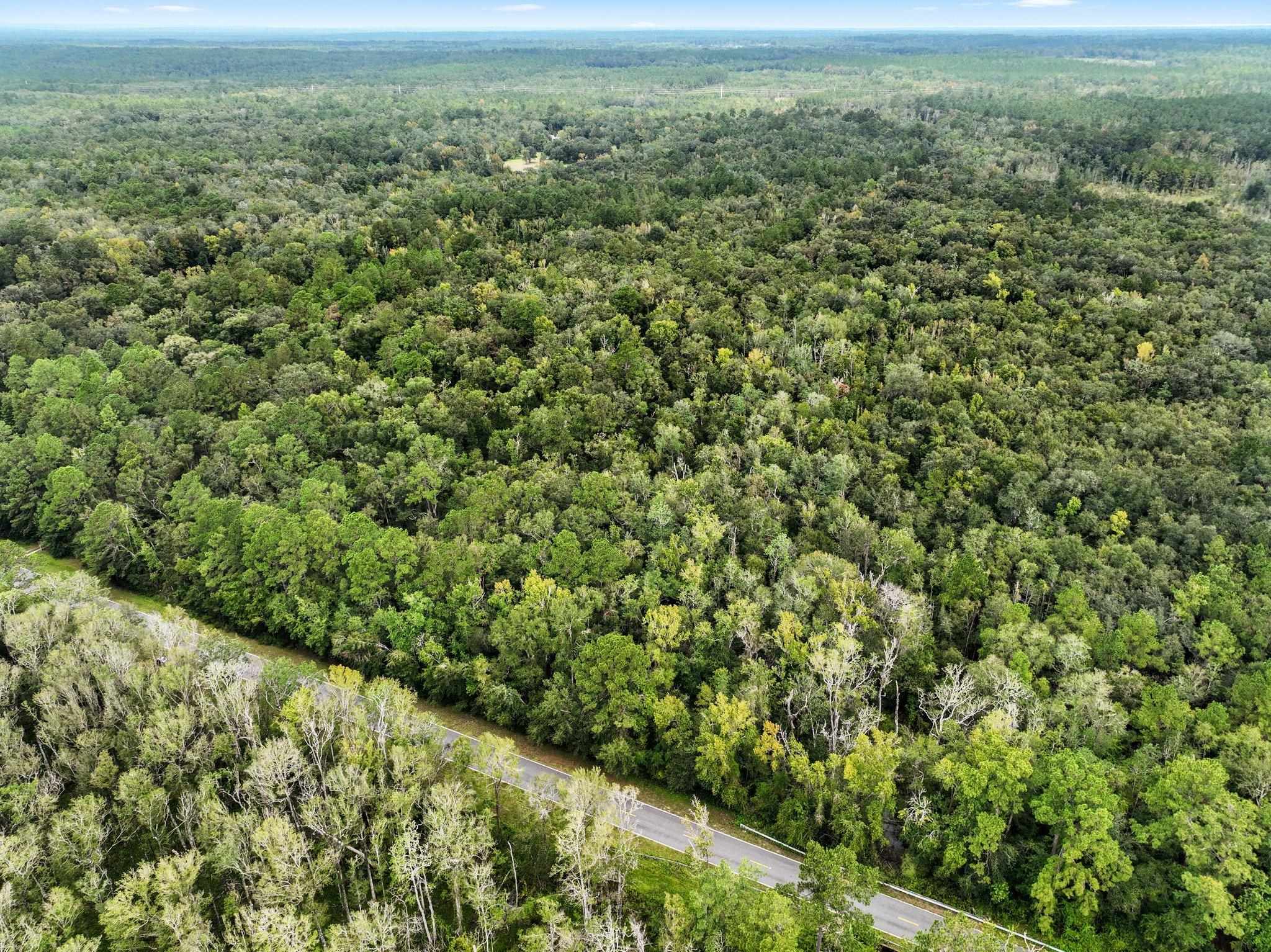 Tram Road, MONTICELLO, Florida image 6