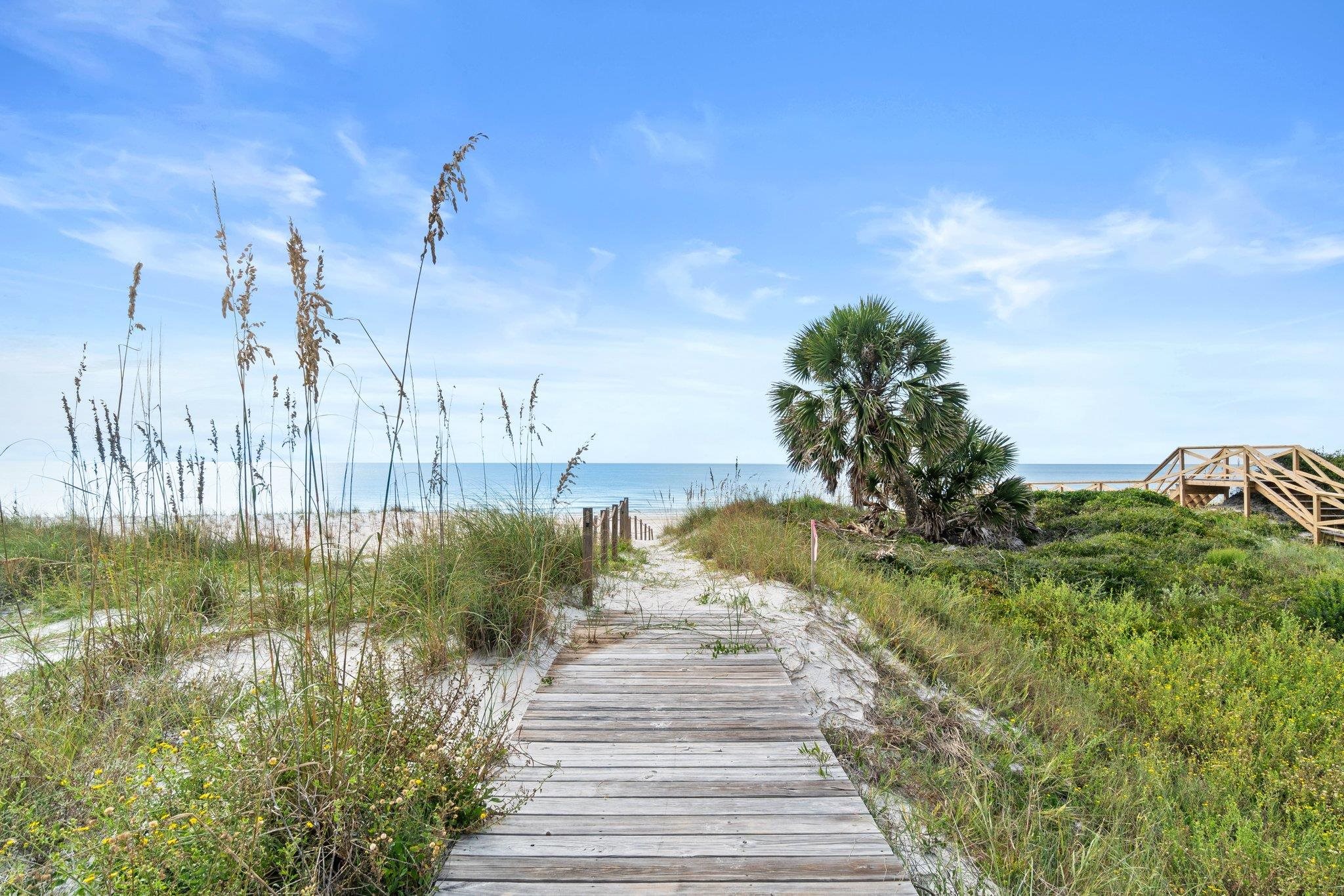 151 Sapodilla Lane, Port St Joe, Florida image 8