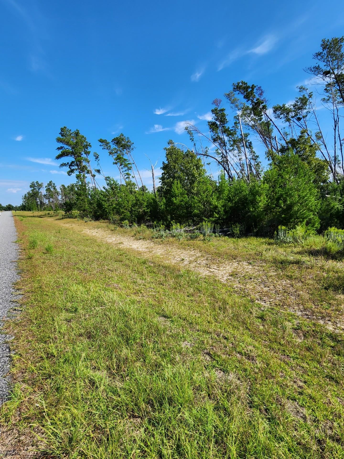 12564 NW Telogia Creek Drive, Bristol, Florida image 1