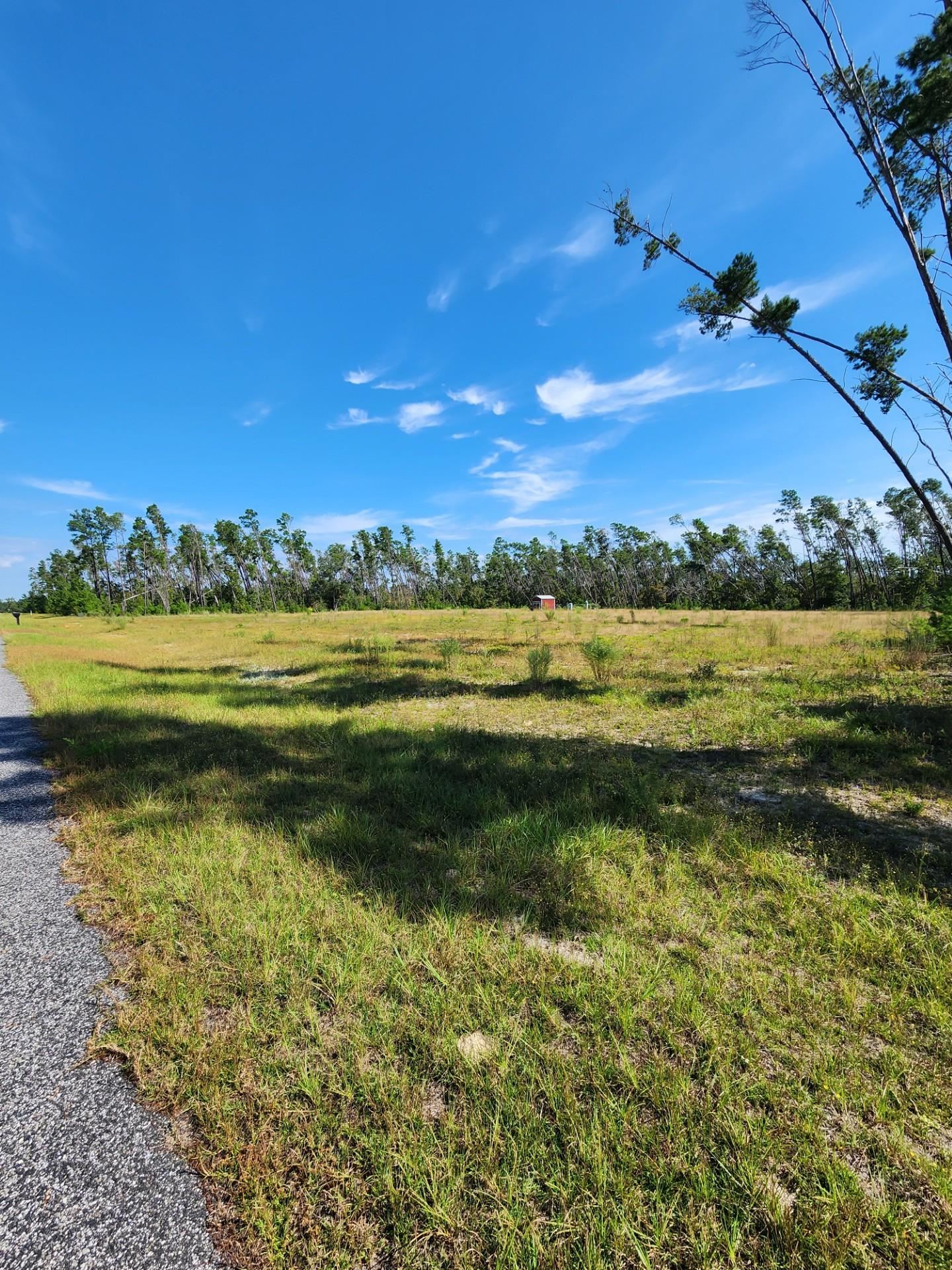 12564 NW Telogia Creek Drive, Bristol, Florida image 2