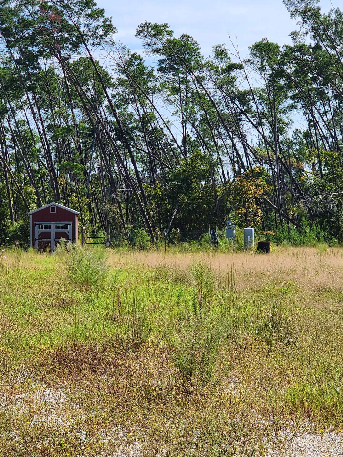 12564 NW Telogia Creek Drive, Bristol, Florida image 3