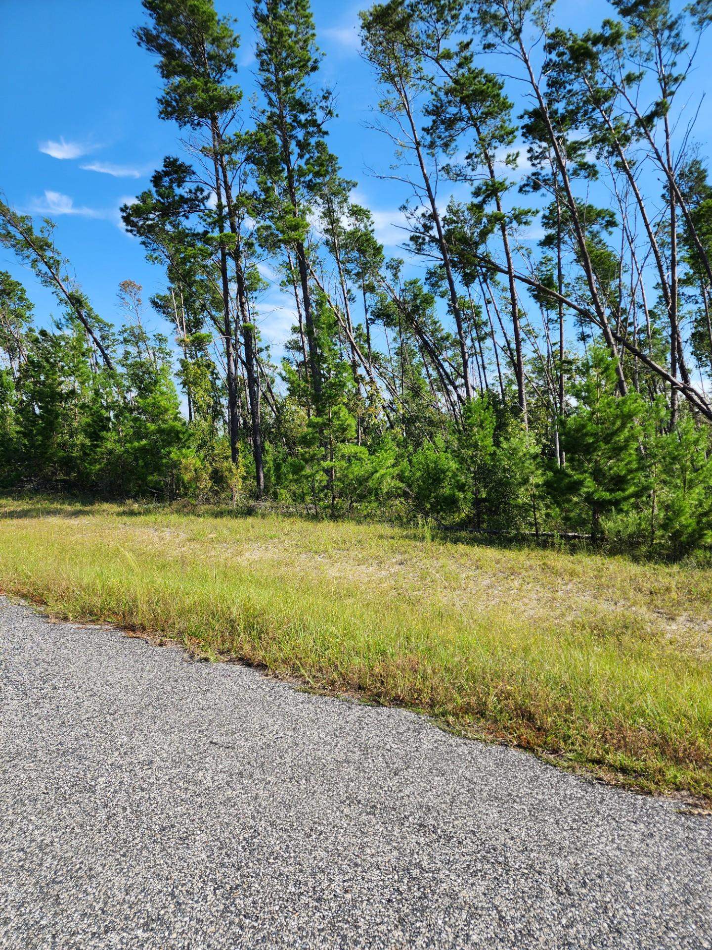 12564 NW Telogia Creek Drive, Bristol, Florida image 4