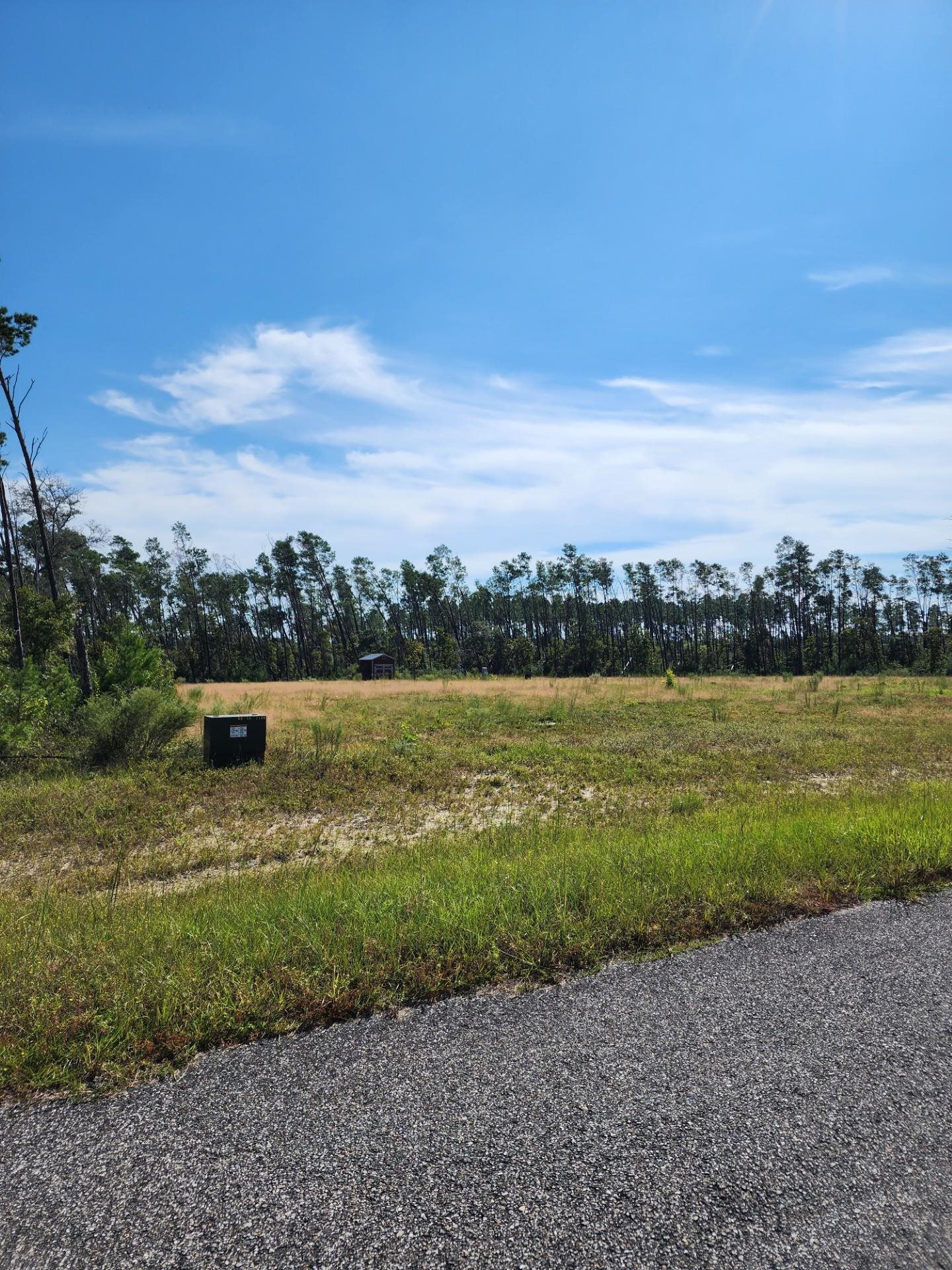 12564 NW Telogia Creek Drive, Bristol, Florida image 5