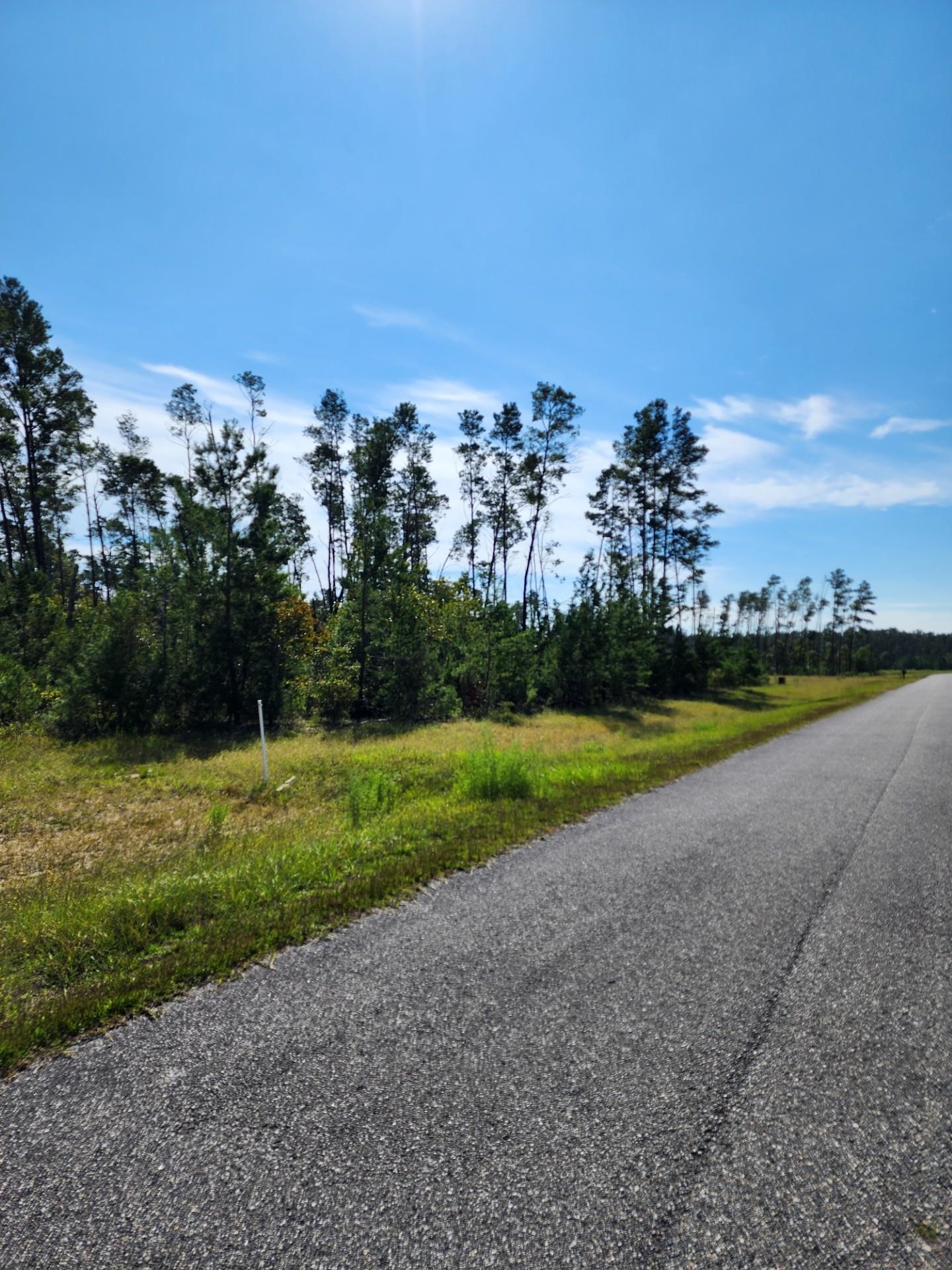 12564 NW Telogia Creek Drive, Bristol, Florida image 6