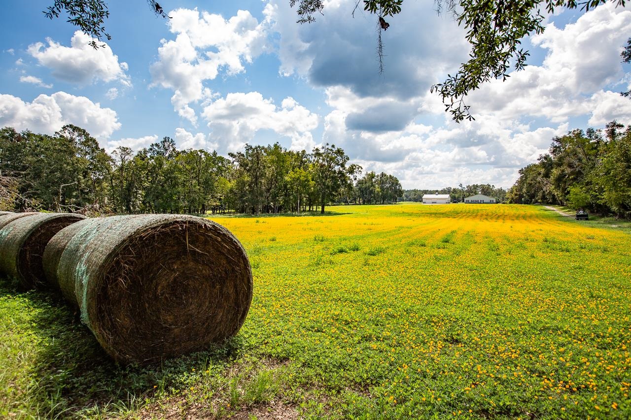 596 Attatulga Road, Lamont, Florida image 32