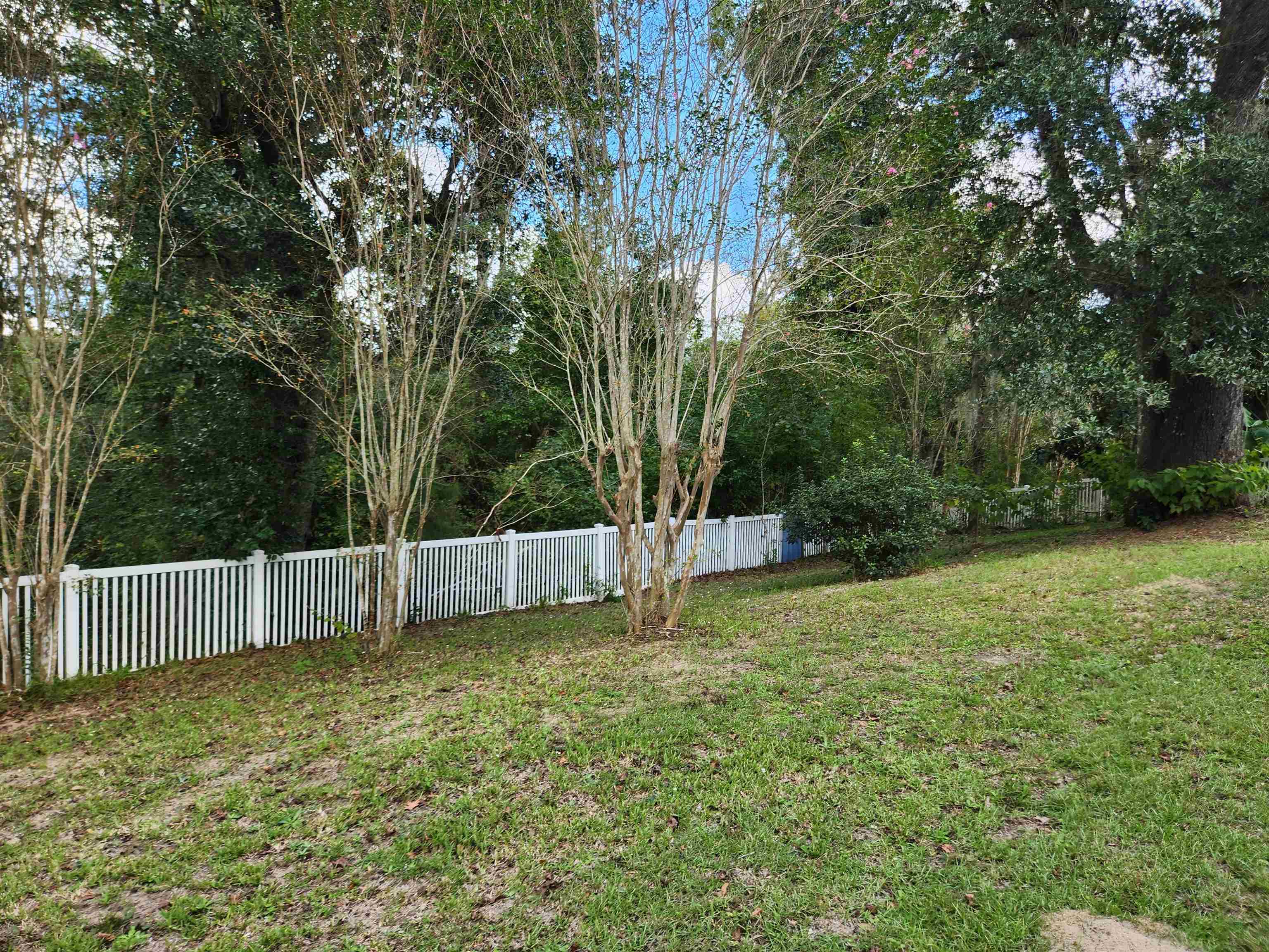 14932 SE Red Horsesucker Drive, Blountstown, Florida image 18