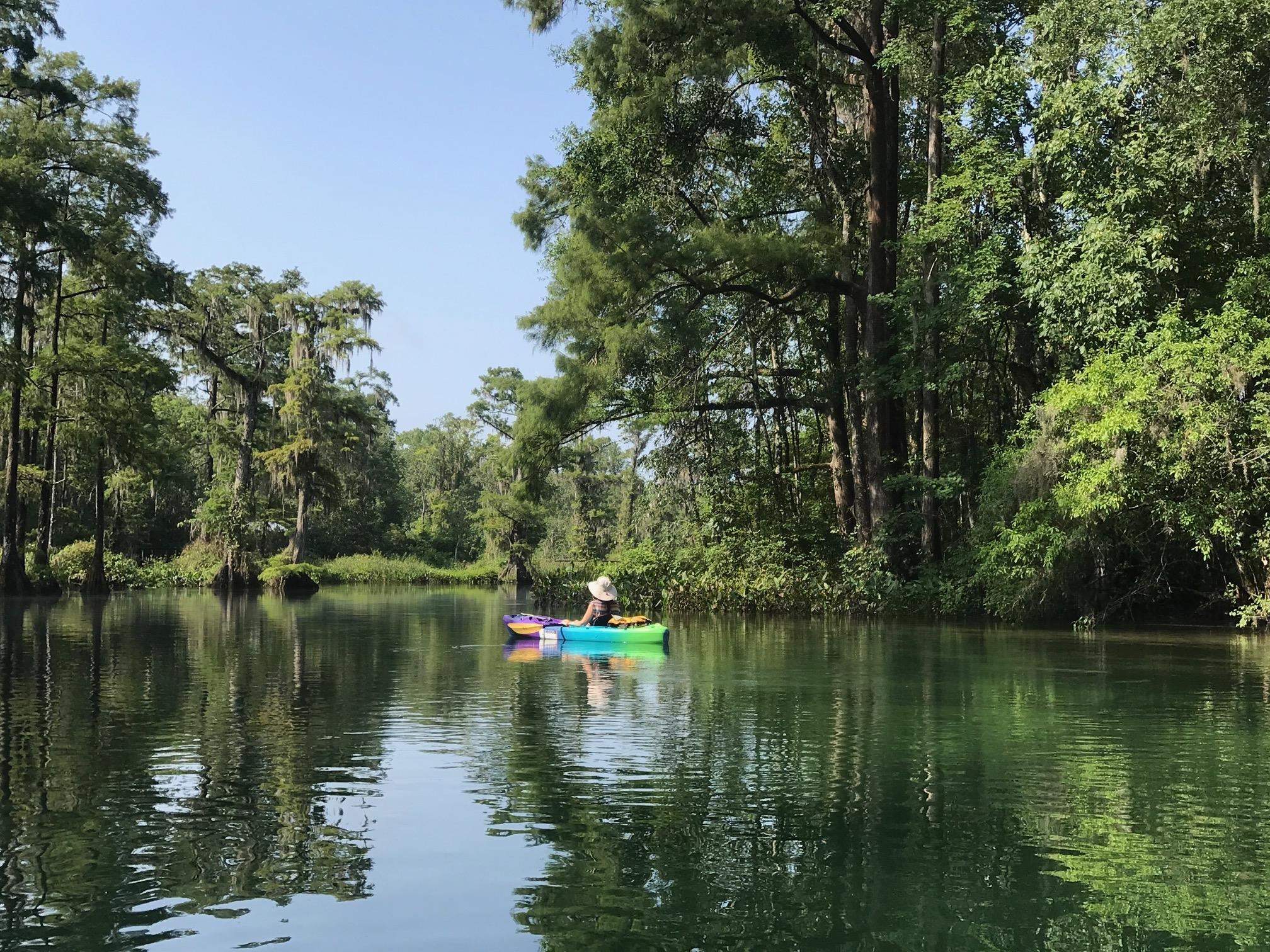 35 Turkey Trail, Crawfordville, Florida image 3