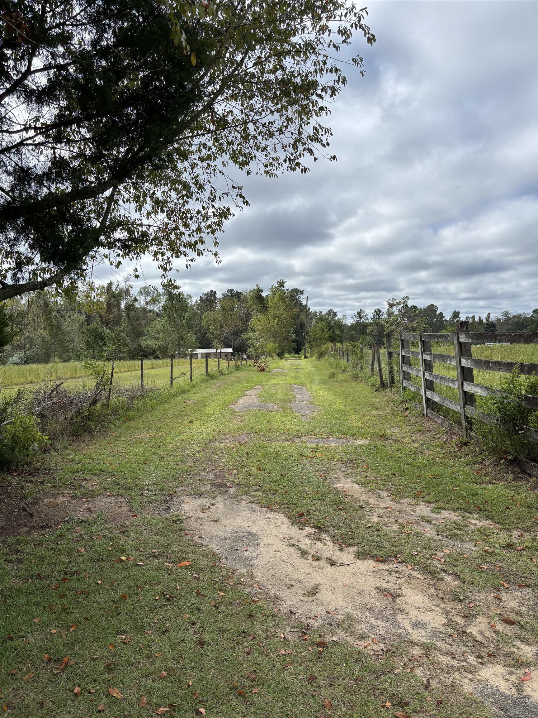 394 E Osprey Lane, Monticello, Florida image 4