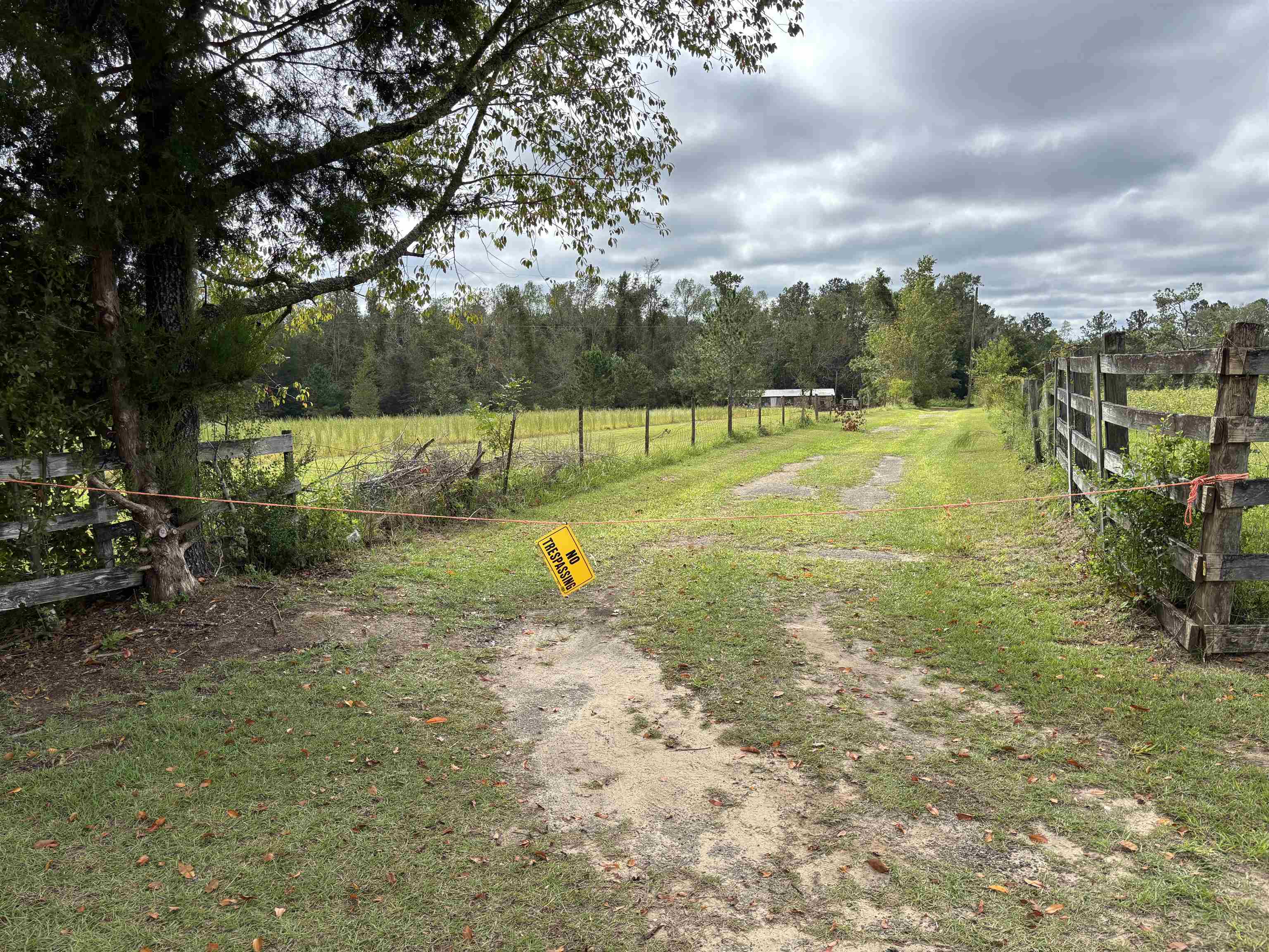 394 E Osprey Lane, Monticello, Florida image 5