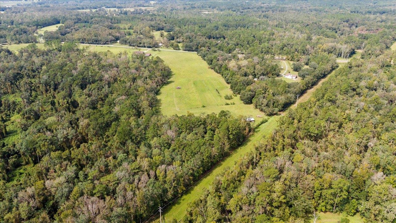 0000 Waukeenah Highway, Monticello, Florida image 15