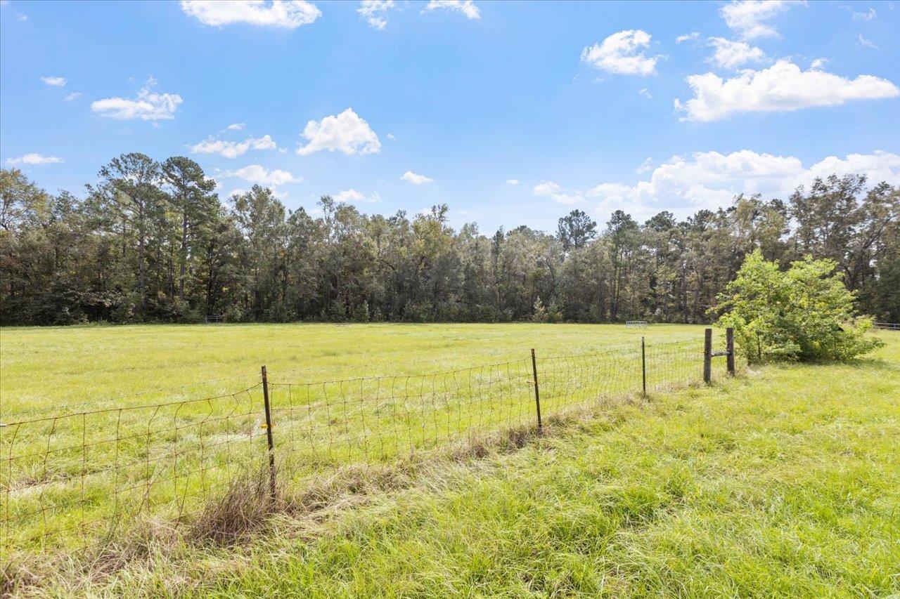 0000 Waukeenah Highway, Monticello, Florida image 8