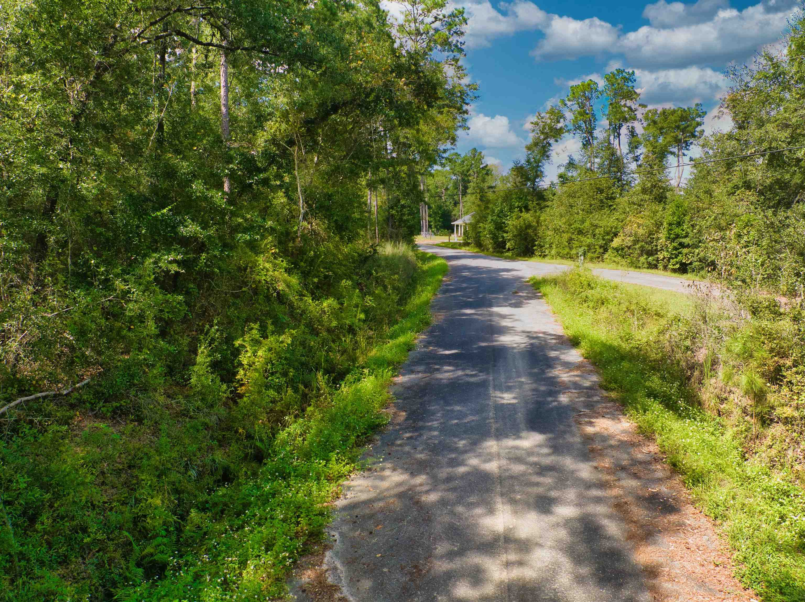 Thomas Drive, Quincy, Florida image 4