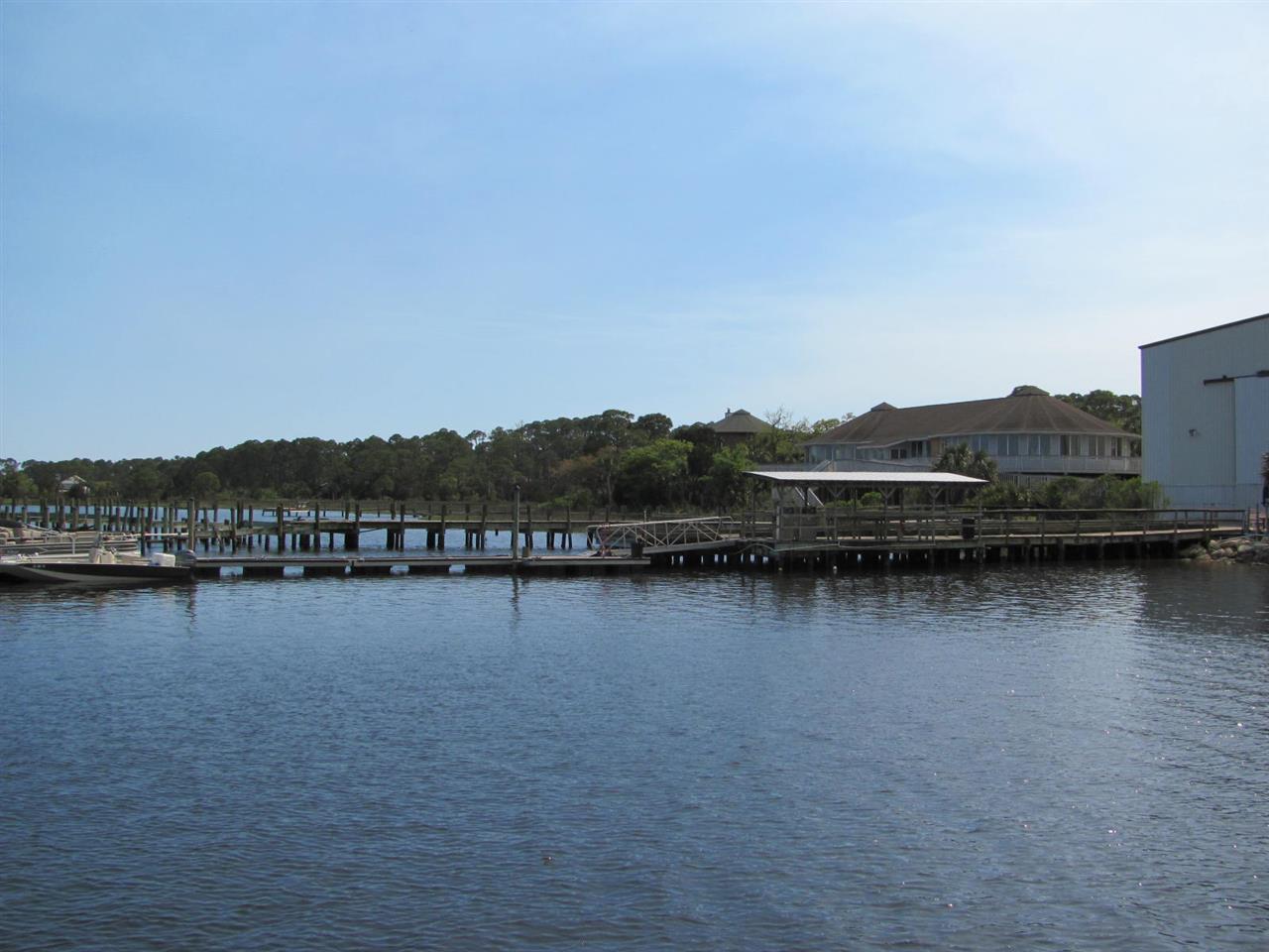 Lucy Lane, Panacea, Florida image 12