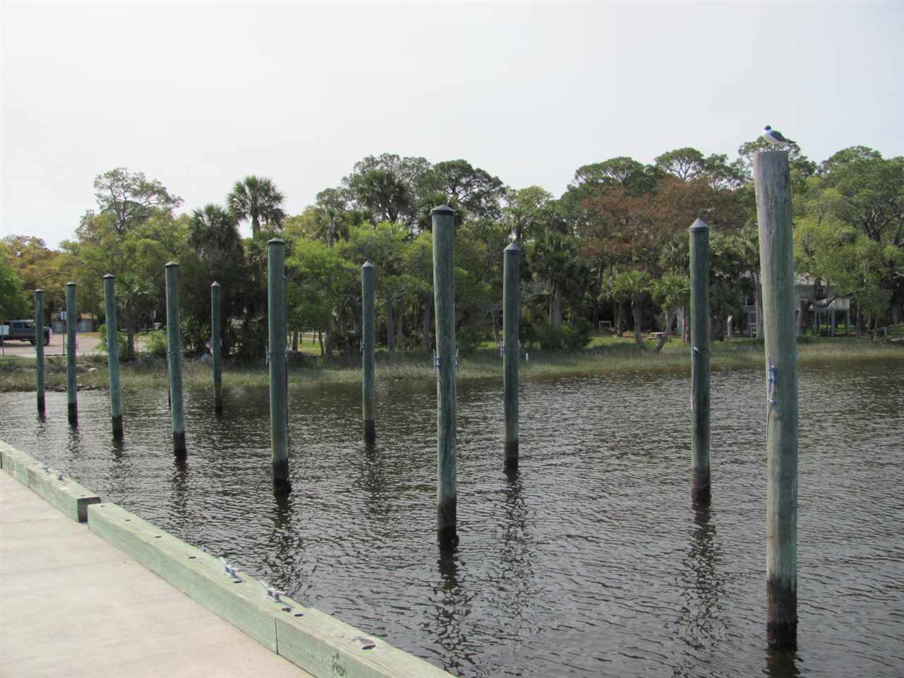 Lucy Lane, Panacea, Florida image 15