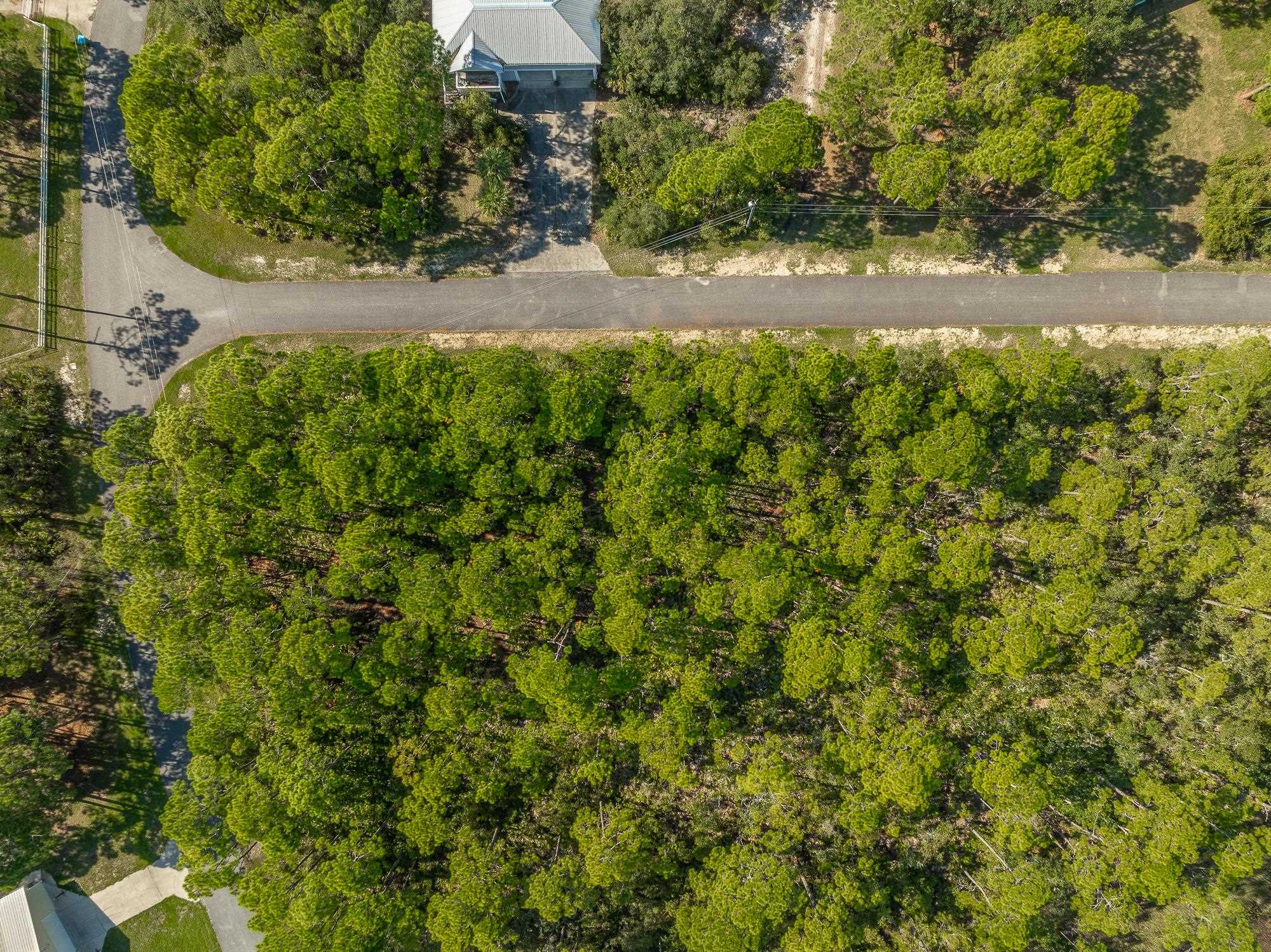 Lot 34C Piper Lane, Panacea, Florida image 10