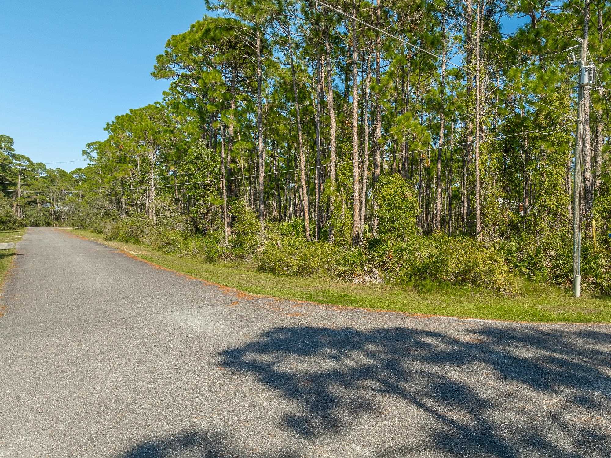 Lot 34C Piper Lane, Panacea, Florida image 11