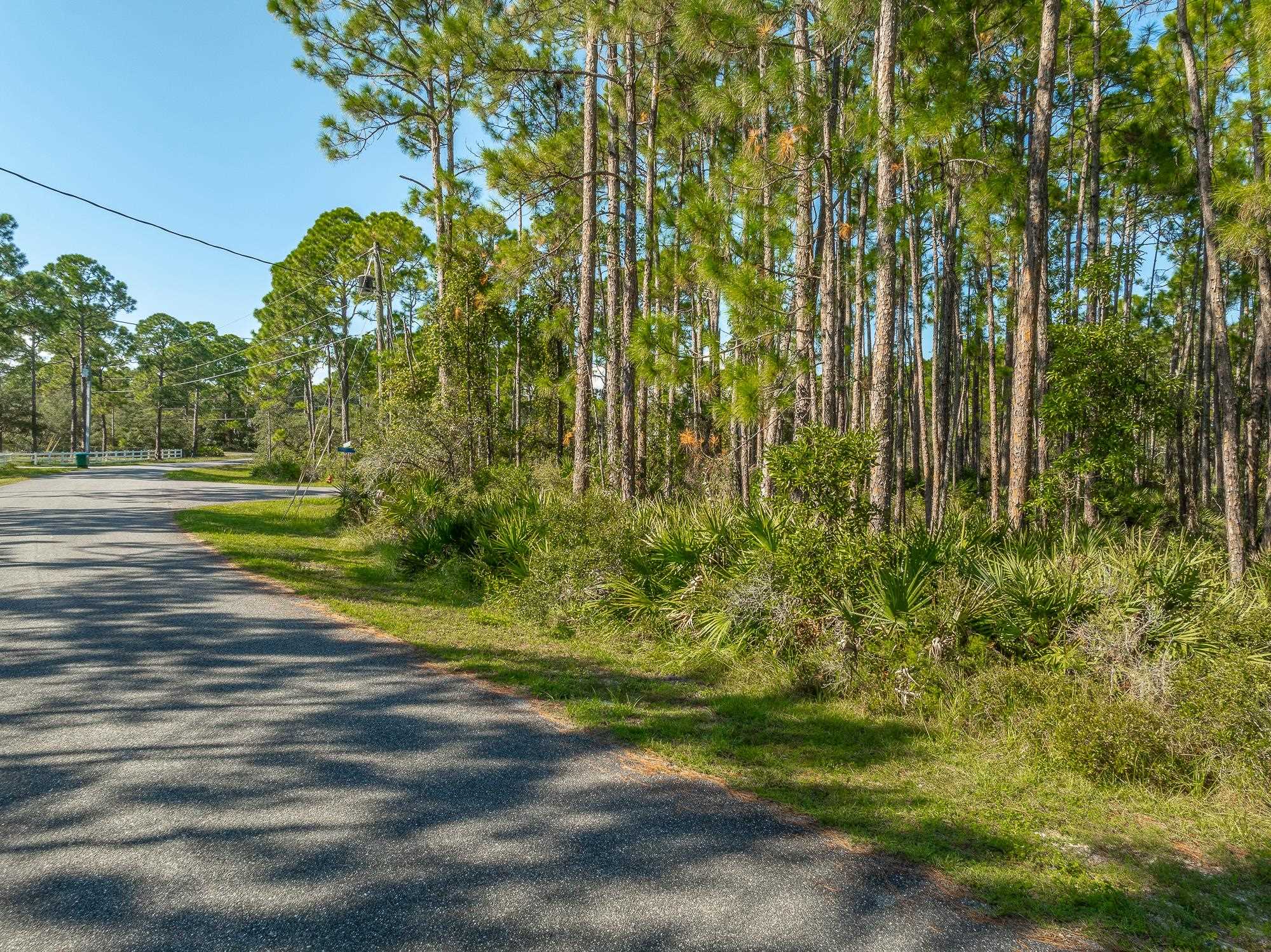 Lot 34C Piper Lane, Panacea, Florida image 13