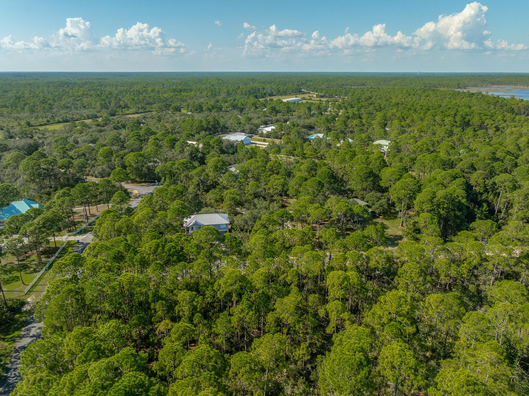 Lot 34C Piper Lane, Panacea, Florida image 8