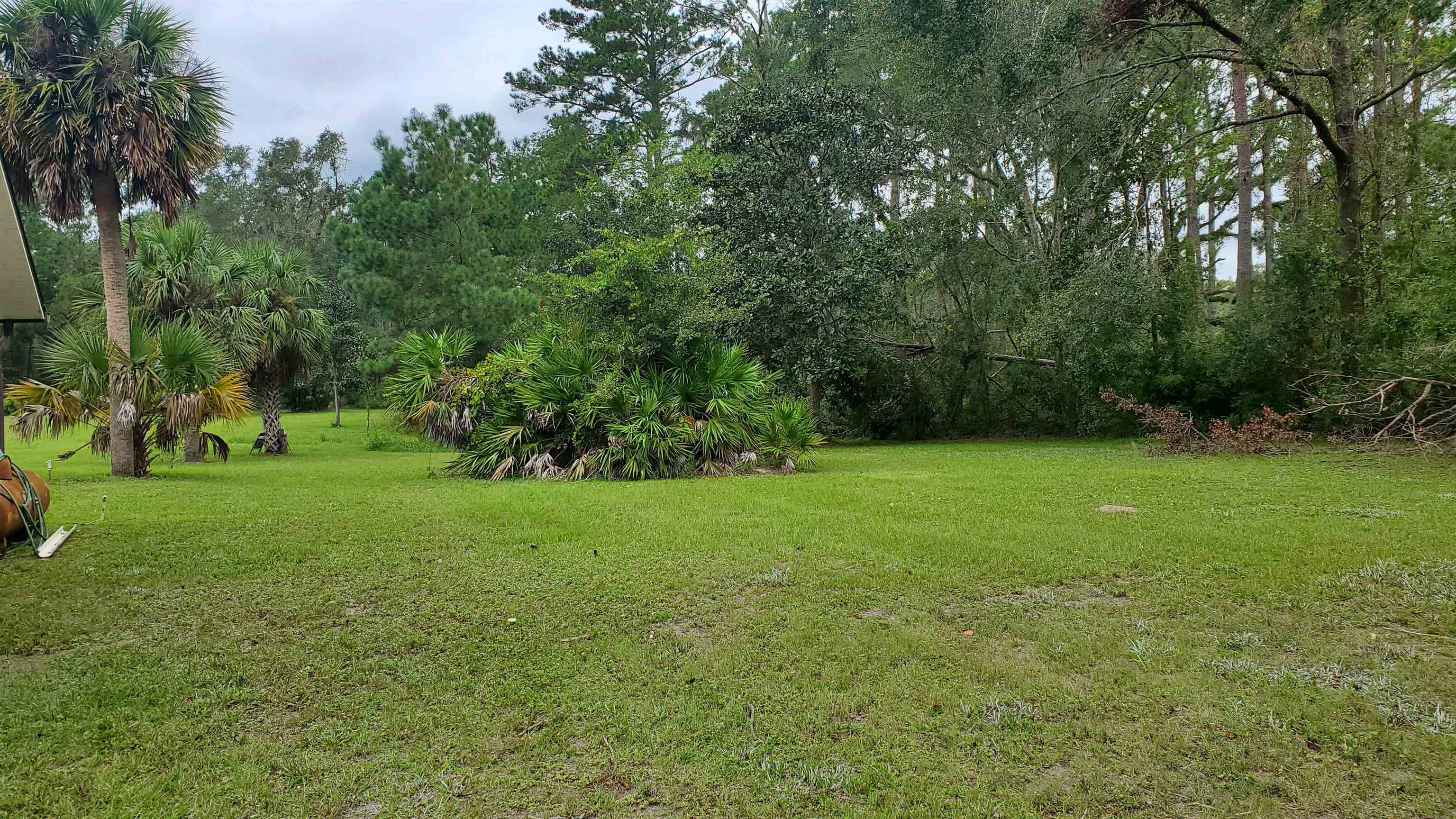 3645 Slaughter Road, Perry, Florida image 7