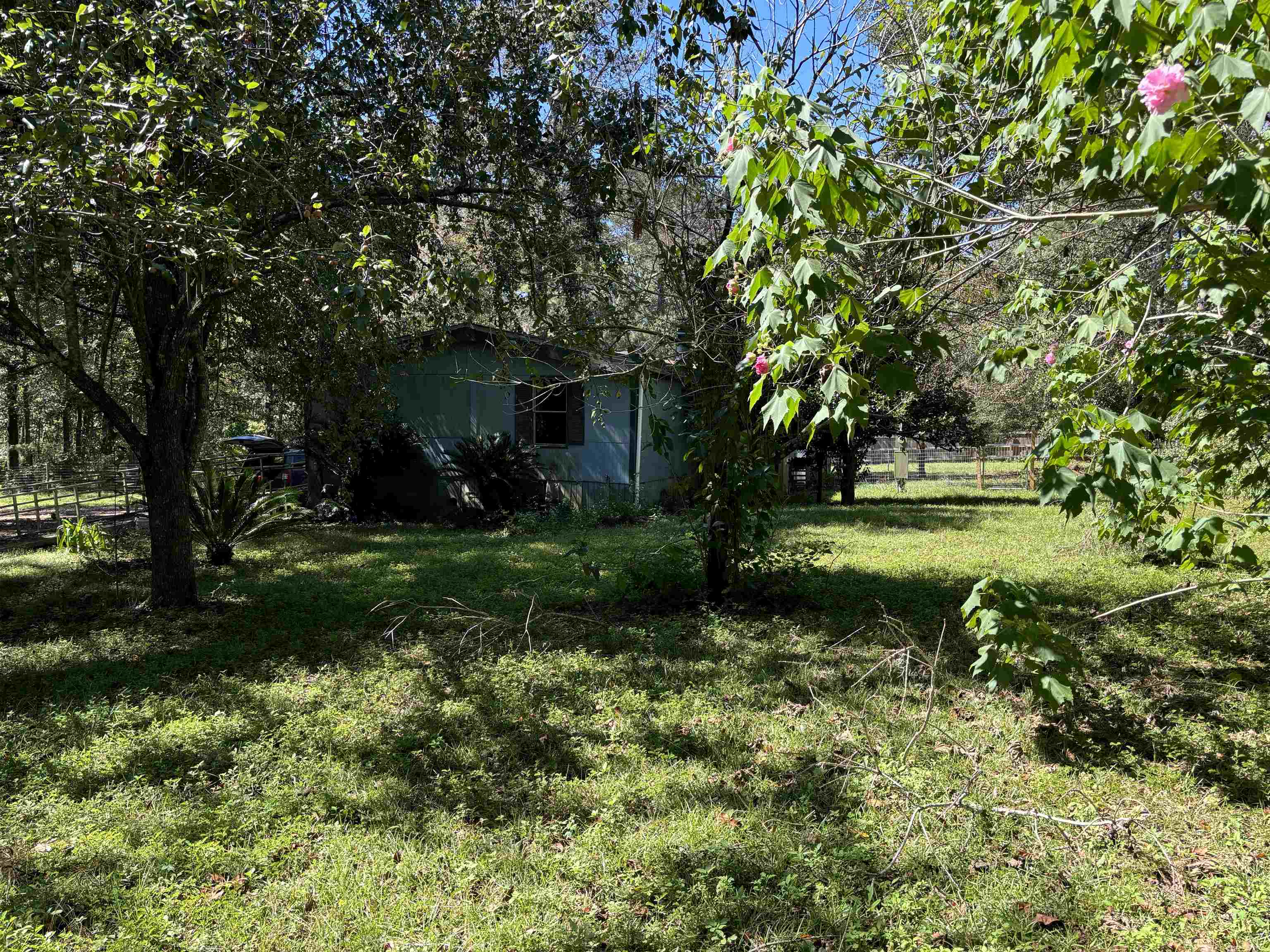 208 Robin Road, Monticello, Florida image 7