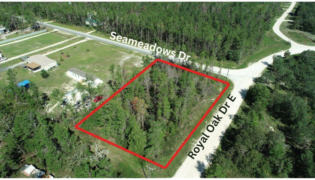 0000 Seameadows Drive, Perry, Florida image 6