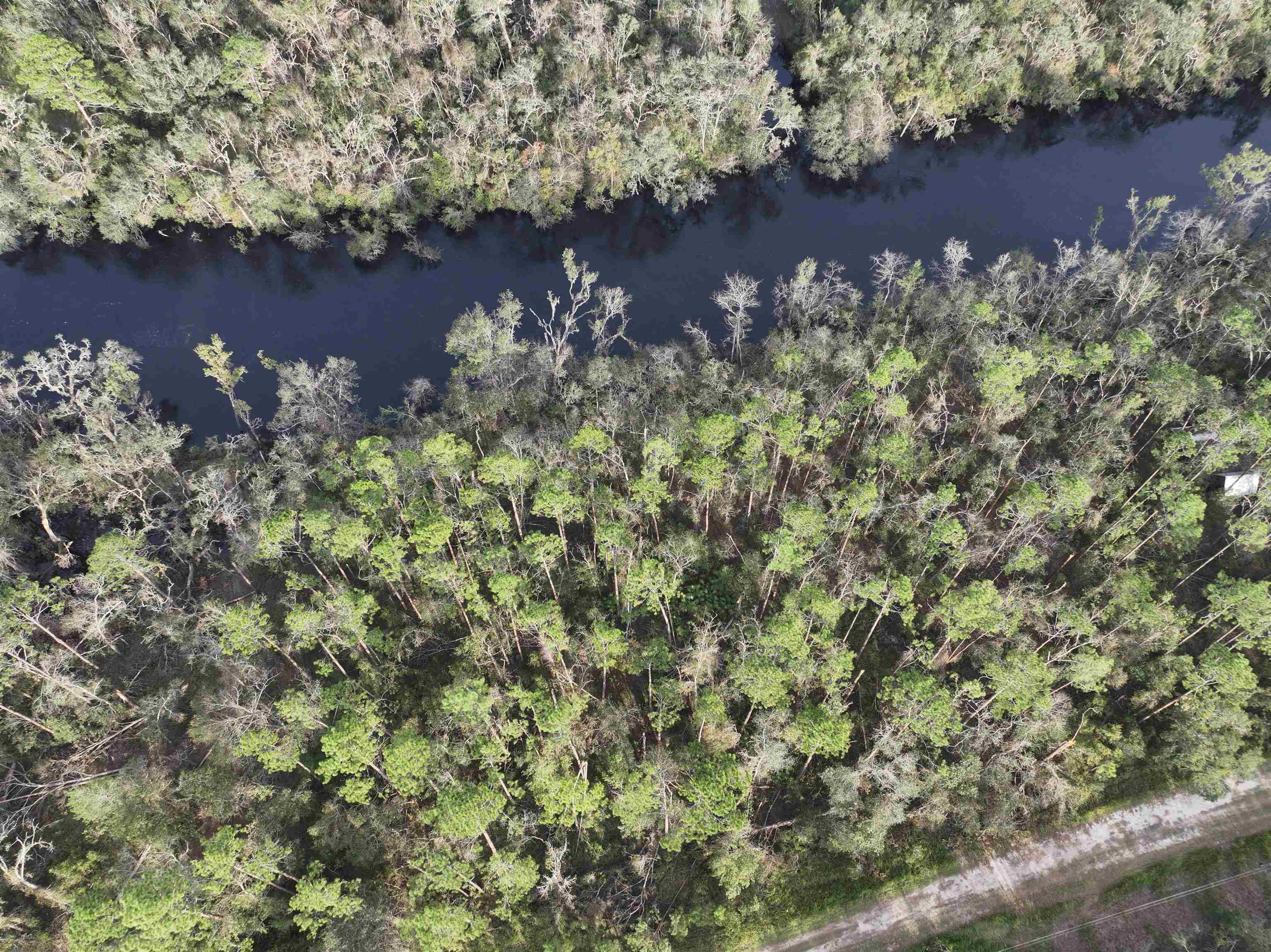 XXX NE Chervil Drive, Lee, Florida image 1