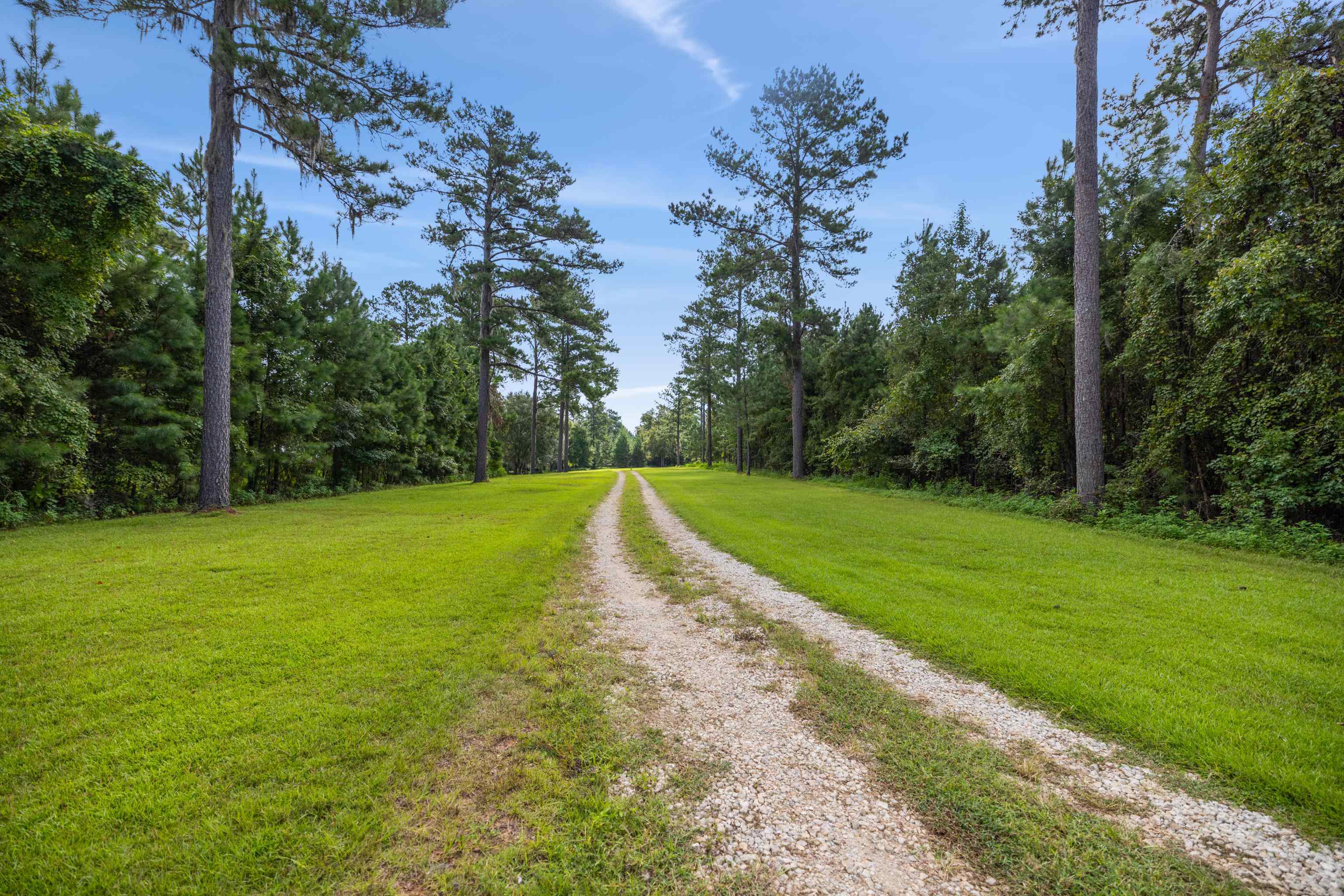 This family compound boast 2 family homes, with over 2,400+ sq.ft. each, a pole barn with a 8' x 32' workshop, an income-producing duplex, well house, and sits on approximately 40 acres of uplands with mature oaks and planted pines, and backs up to Lafayette Heritage Trail and Lake Lafayette.  With enough privacy to enjoy nature, and still convenient to downtown and shopping, this unique property is zoned R-1, is 39.78 of upland acres, and abuts the city limits. Refer to mls#377942 and #377942 for additional information of each parcel/home; offered for sale together or separately.