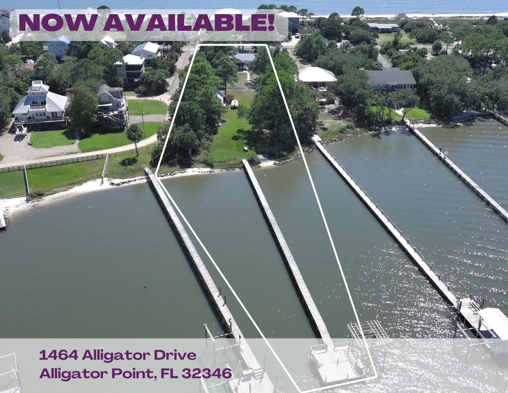 1464 Alligator Drive, Alligator Point, Florida image 1