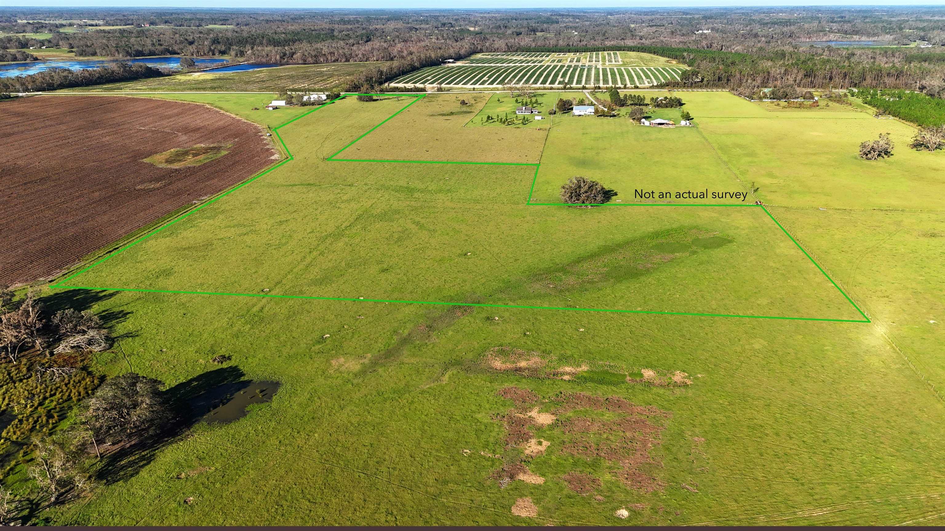 6800 NE Rocky Ford Rd, Madison, Florida image 1