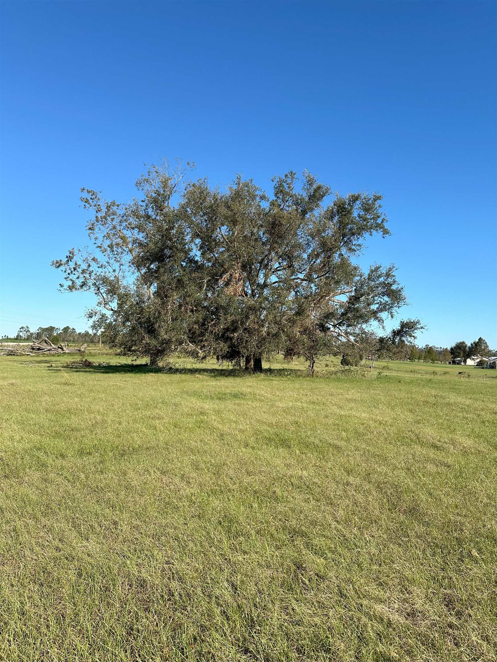 6800 NE Rocky Ford Rd, Madison, Florida image 11