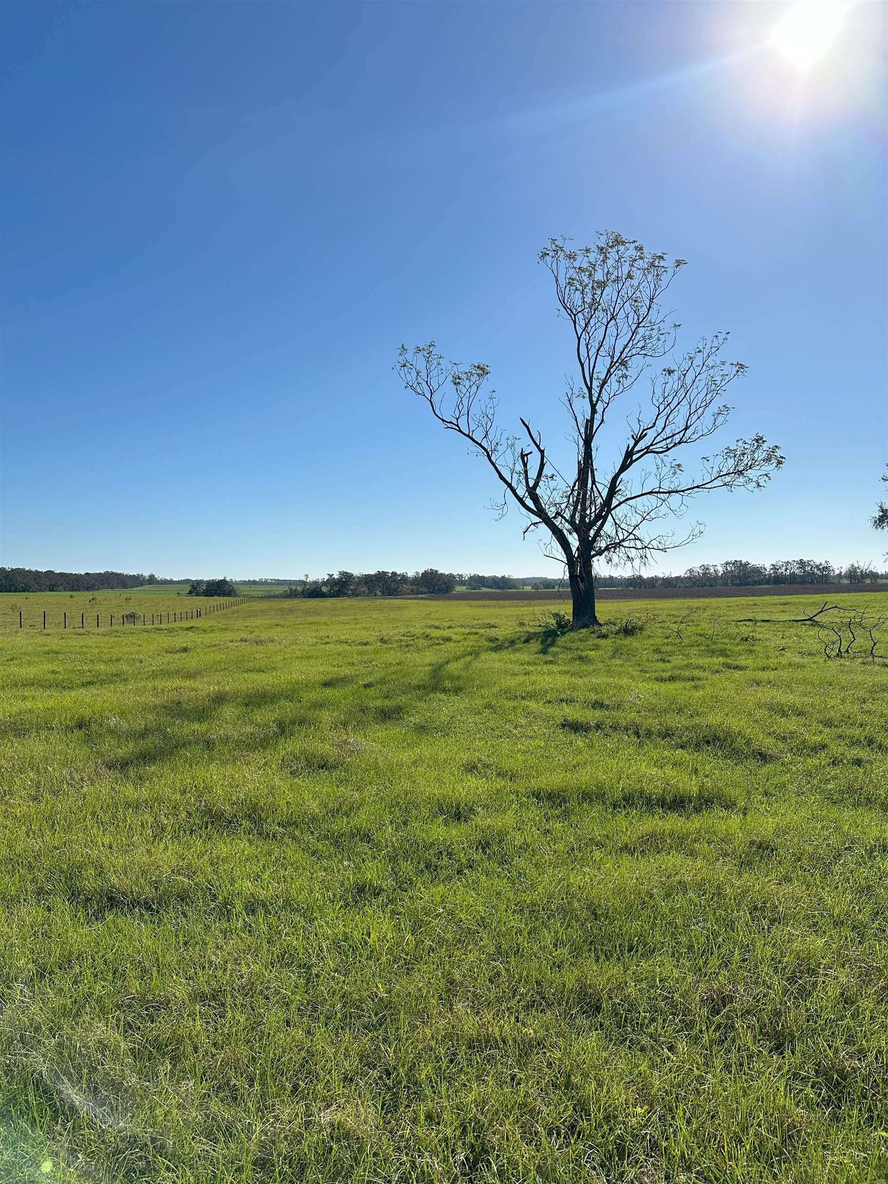 6800 NE Rocky Ford Rd, Madison, Florida image 14